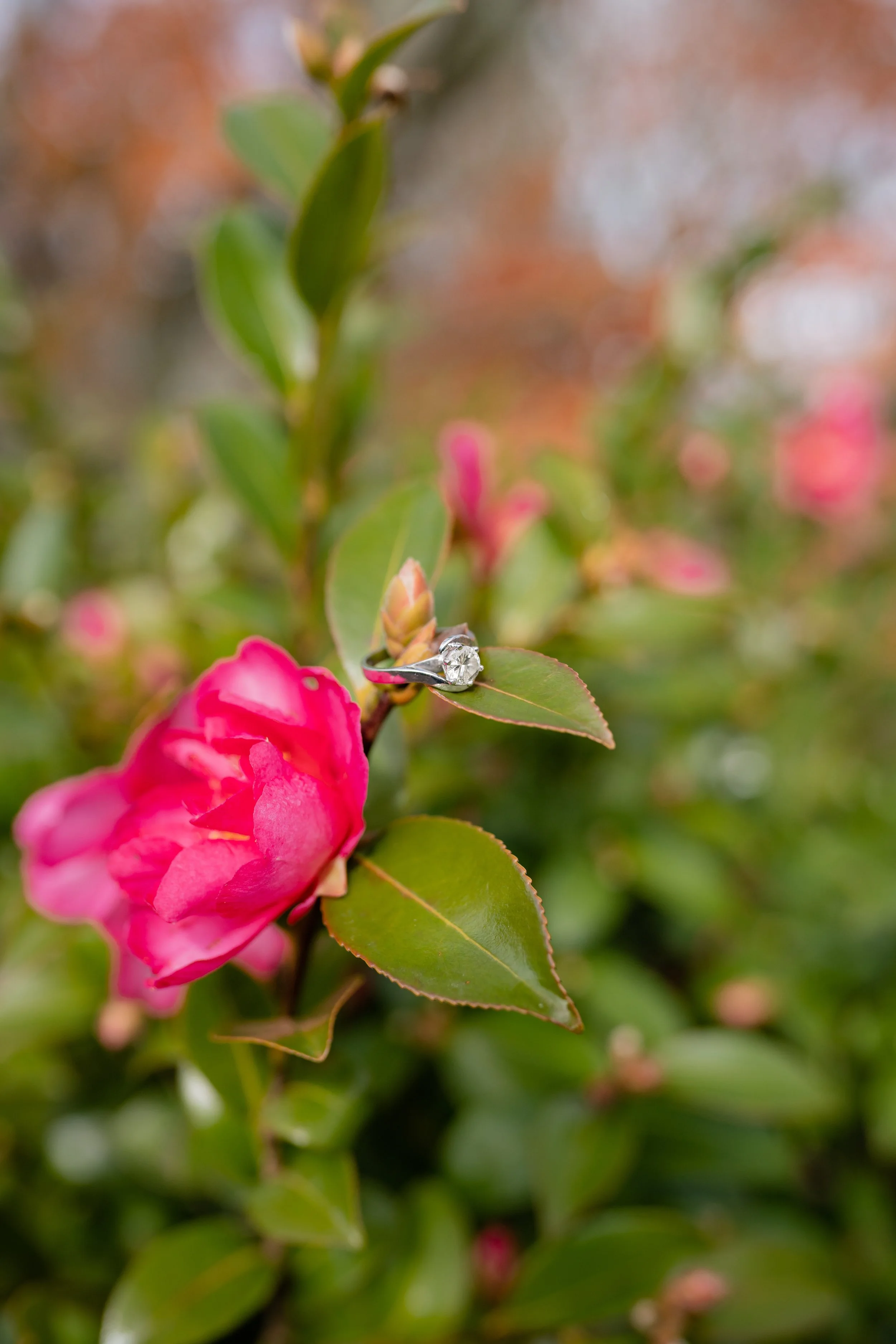 Cassie-Thomas-Engagement-132.jpg