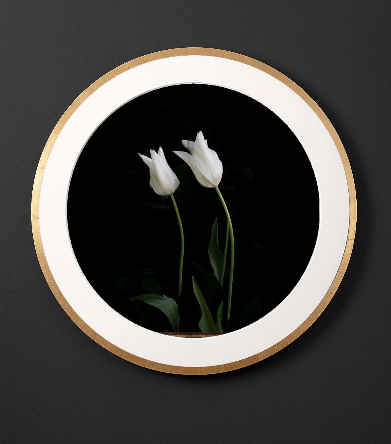 White tulip. Using Hahnemühle 308gsm PhotoRag museum-quality etching paper, each print is made by hand by a master printer. Signed Limited Edition of 50 - certificate provided Worldwide Shipping Available Bespoke Framing Options for UK Customers