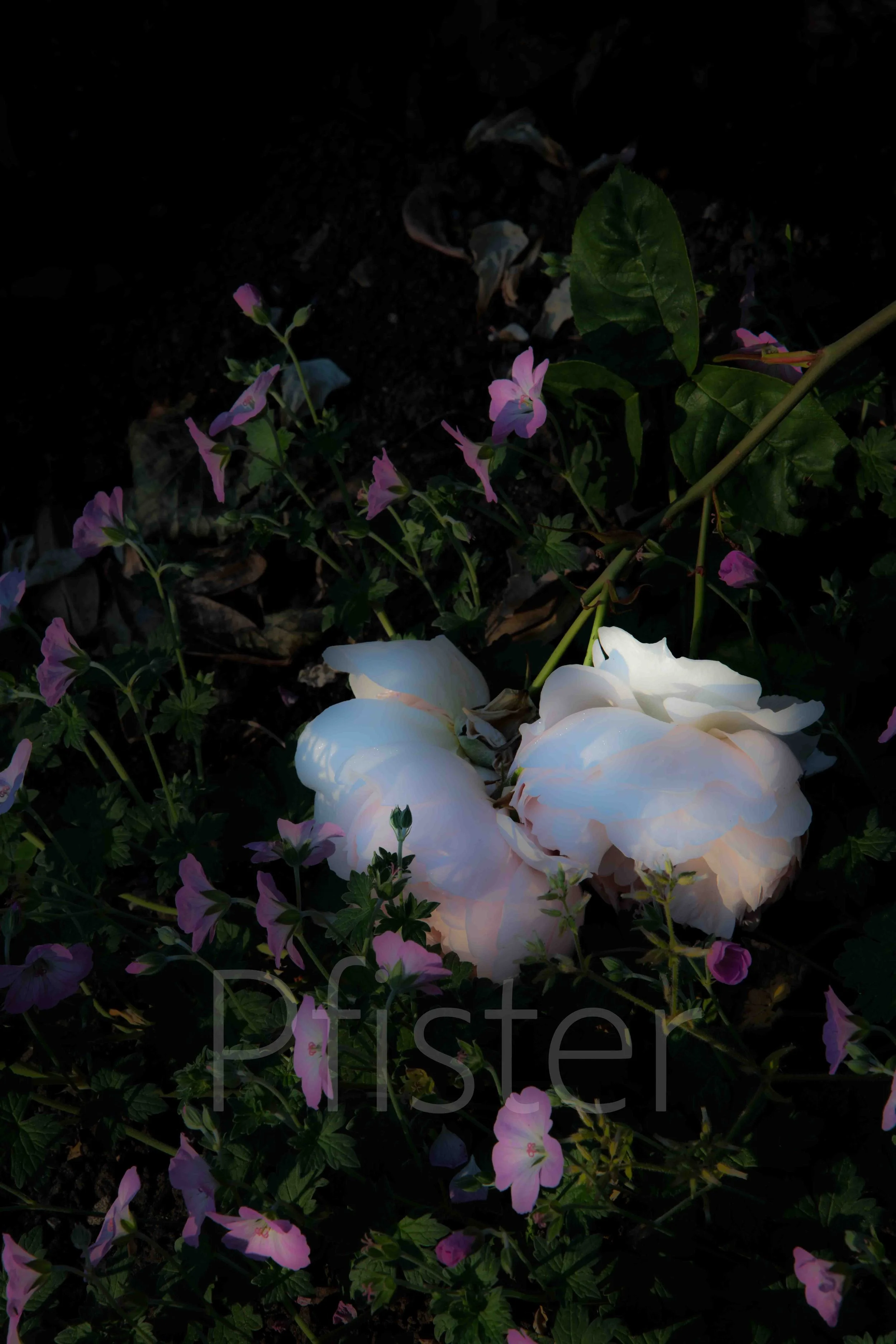 A framed picture of a white peony flower on black background hanging on a dark green wall, with a candle and small decorative container on a black and gold table below.