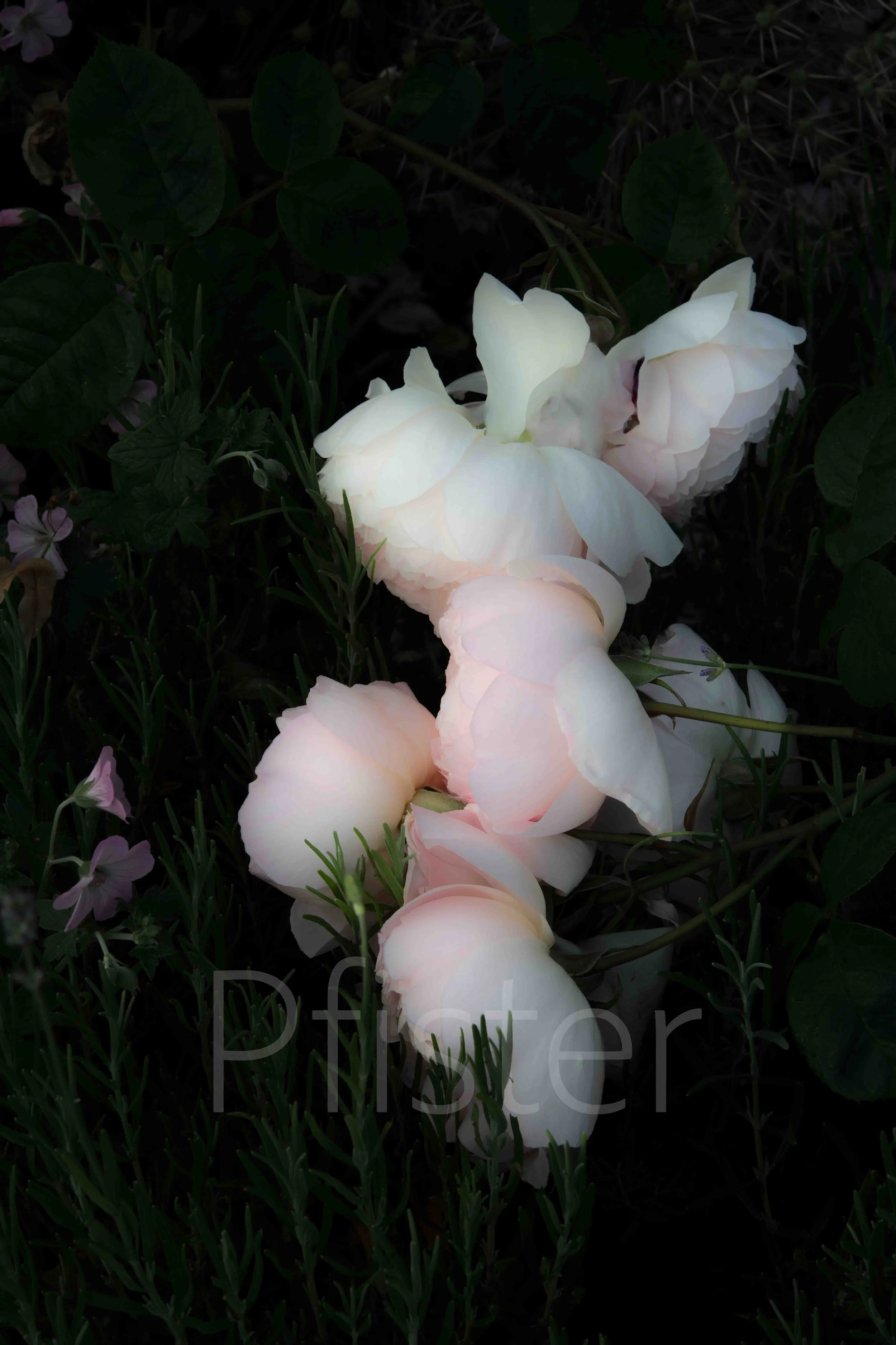 A framed photograph of a white rose with a dark background hanging on a green wall, with a black and gold table below holding a black candle and a textured metallic decorative object.