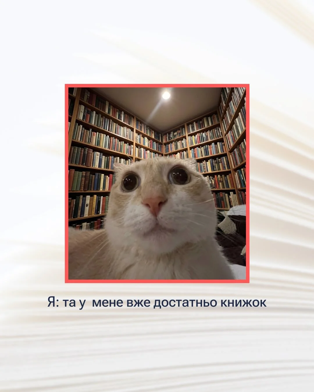 ну ви зрозуміли 😉
посилання у профілі

#charitybook #книгазадонат