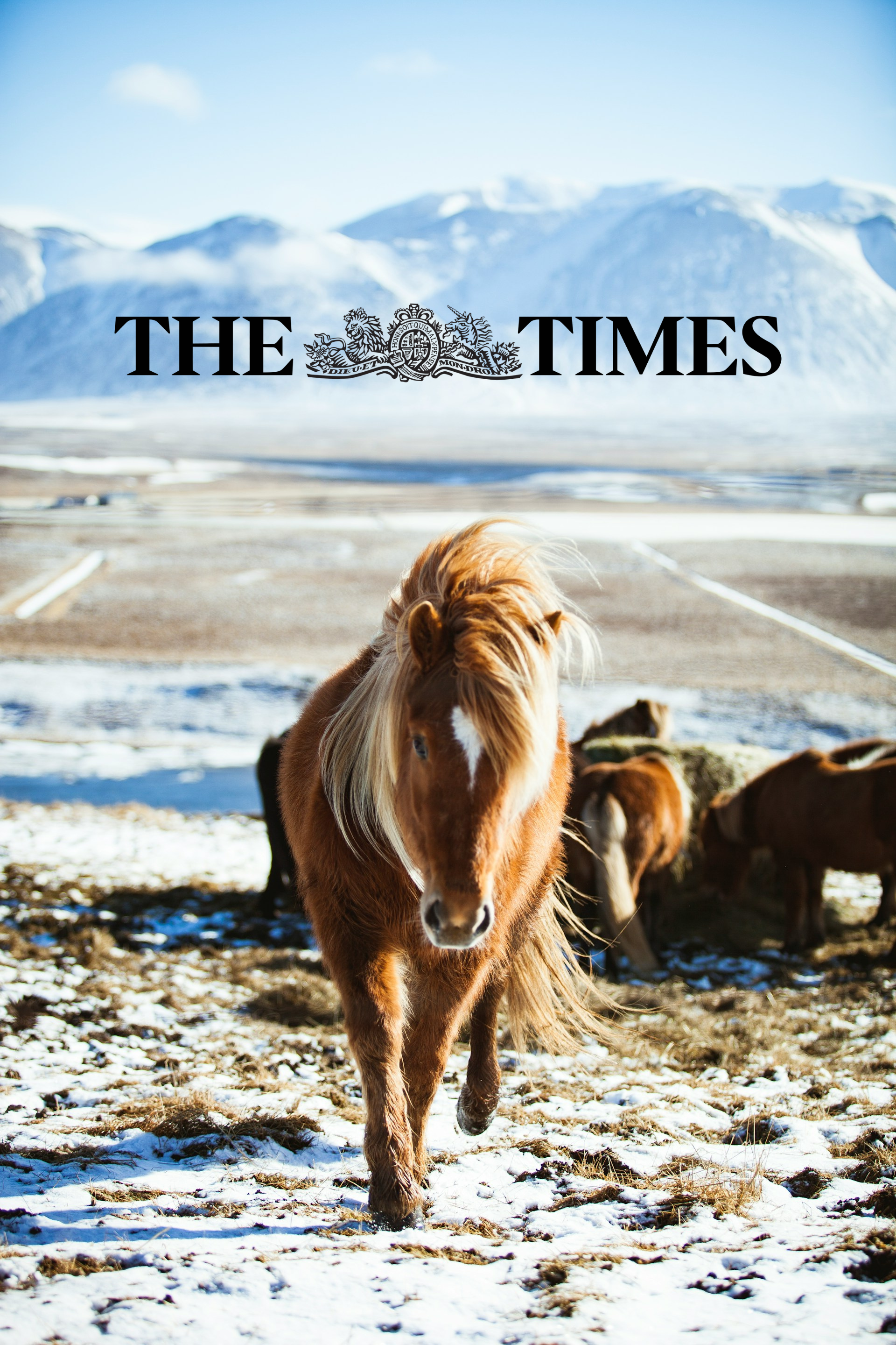 On The Road in North Iceland - The Times