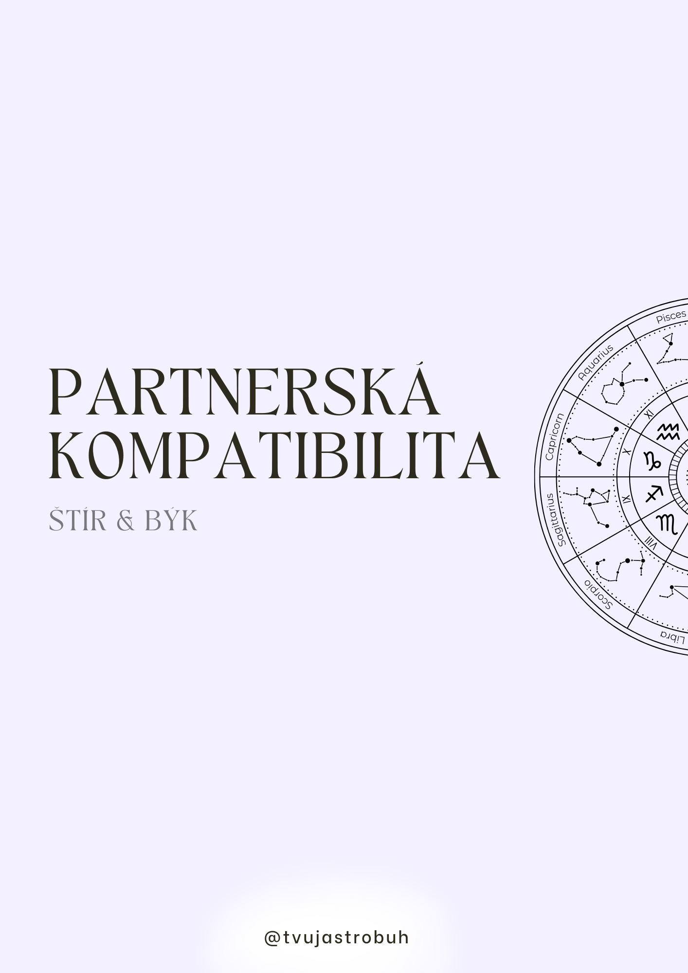 PARTNERSKÁ_KOMPATIBILITA_ŠTÍR_BÝK_done1.png