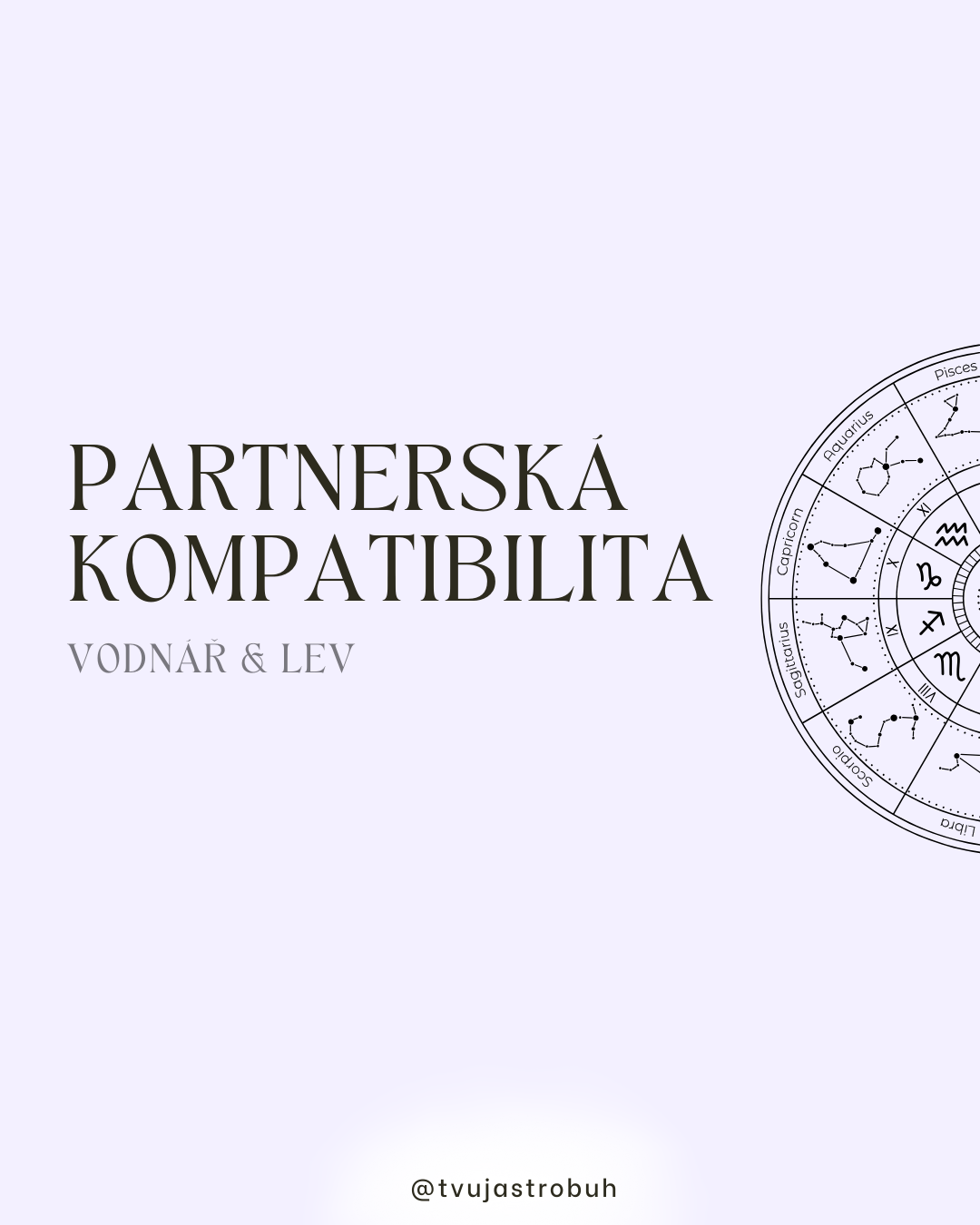 PARTNERSKÁ_KOMPATIBILITA_VODNÁŘ_A_LEV_done.png