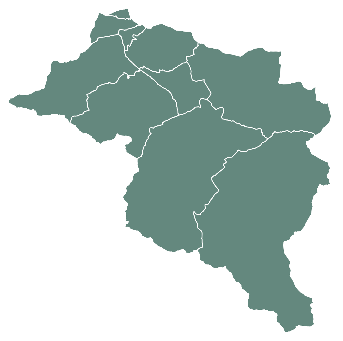 Karte der Forerunner-Region Montafon (dunkelgrün mit weißen Trennstrichen an den Gemeindegrenzen)