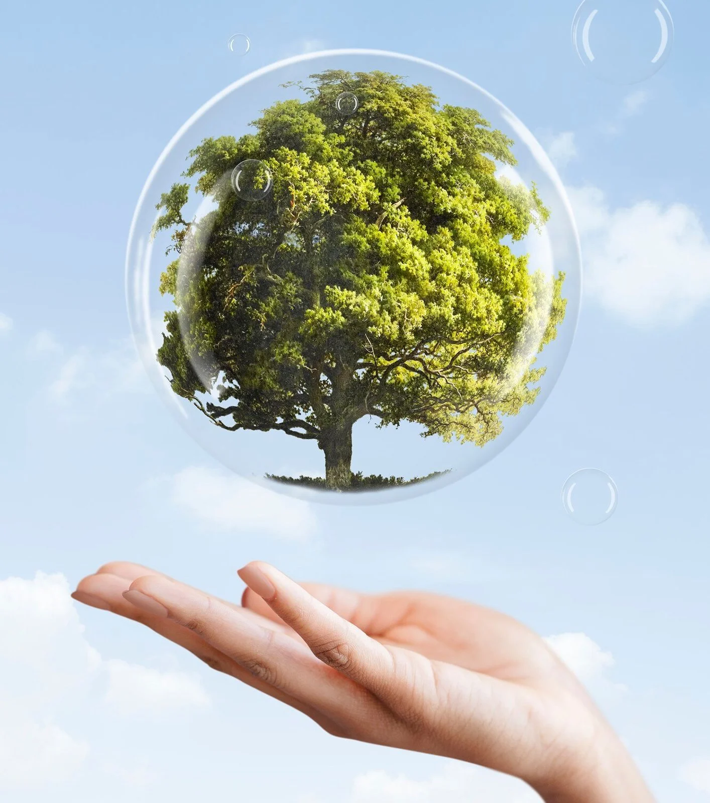 A hand holding out a palm underneath a floating glass orb with a lush green tree inside, set against a clear blue sky with clouds.