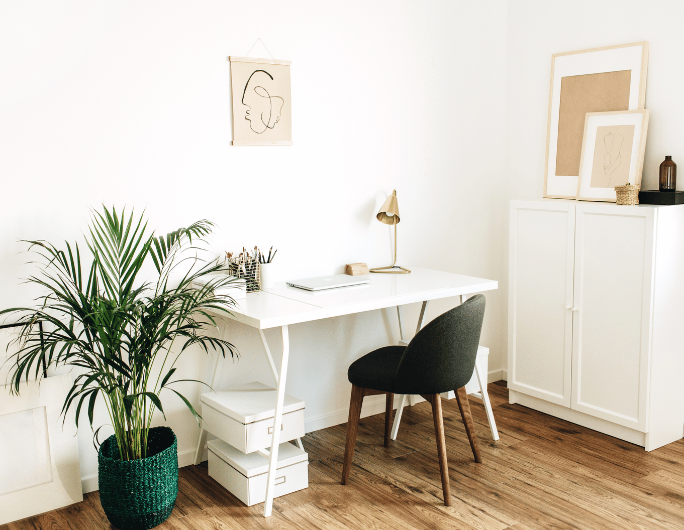 squarespace site decorative image (164).png