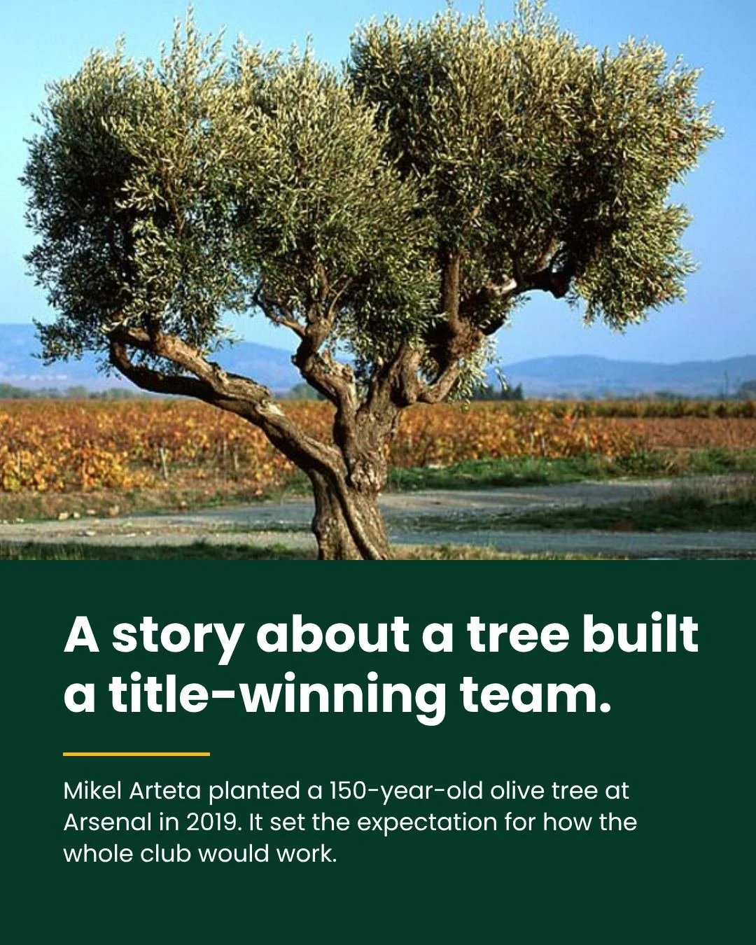 This isn't a football (soccer) post. It's about storytelling. But to tell you about storytelling, I'm going to tell you about how the manager of Arsenal football team used analogy to create a winning culture.

The English Premier League has just star
