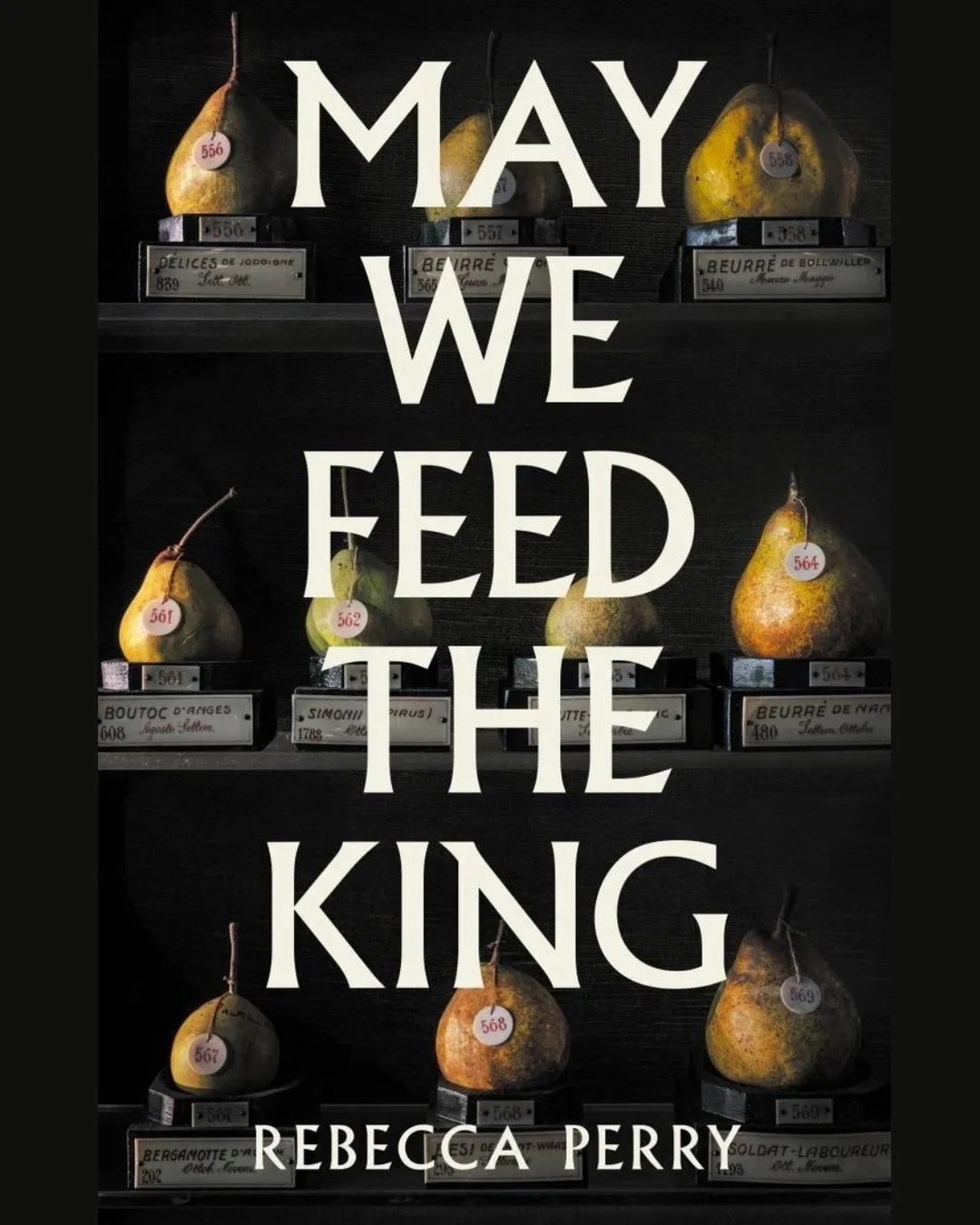 The booker prize shortlist is announced this evening and for the first time in a long time, I've actually read one of the books nominated and tipped to be shortlisted and maybe even win!! 
Among other things, May We Feed The King, by Rebecca Perry is