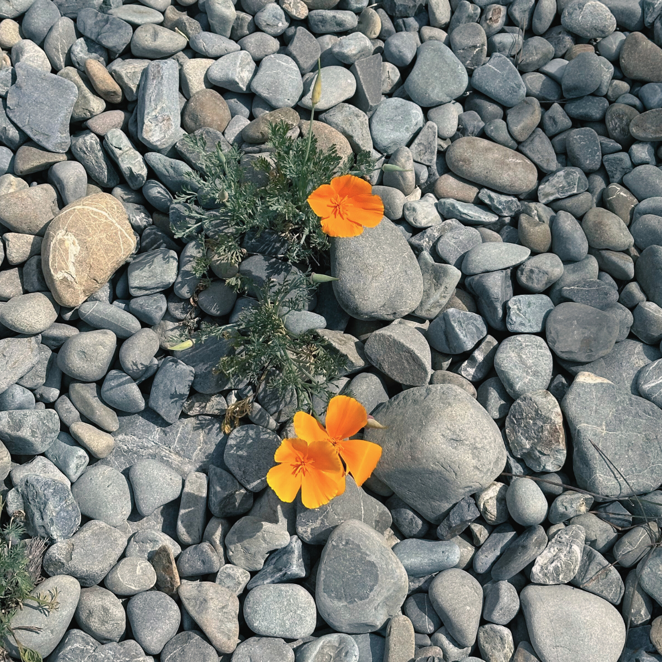 You’re Functioning, But Why Do You Still Feel So Tired and Unmotivated?