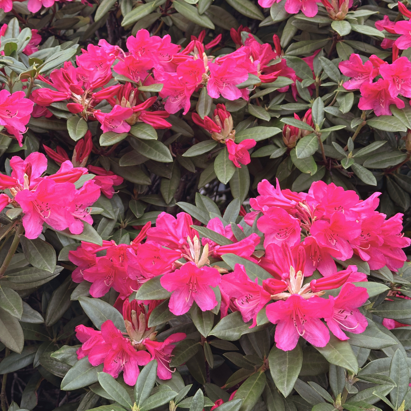 When Relationships Hurt More Than We Expect