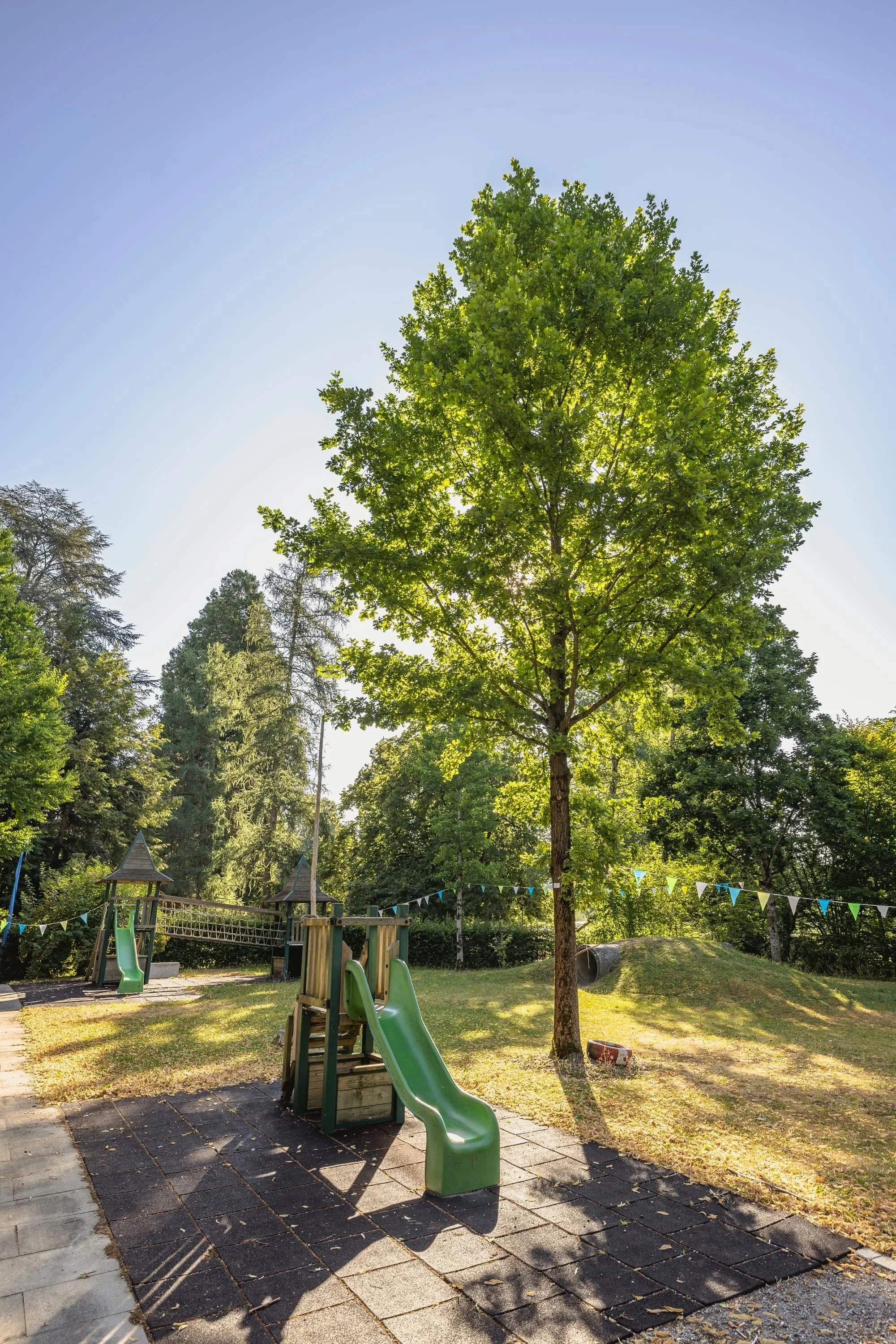 Kita Münsingen: Was Kinder wirklich brauchen, um sich wohlzufühlen