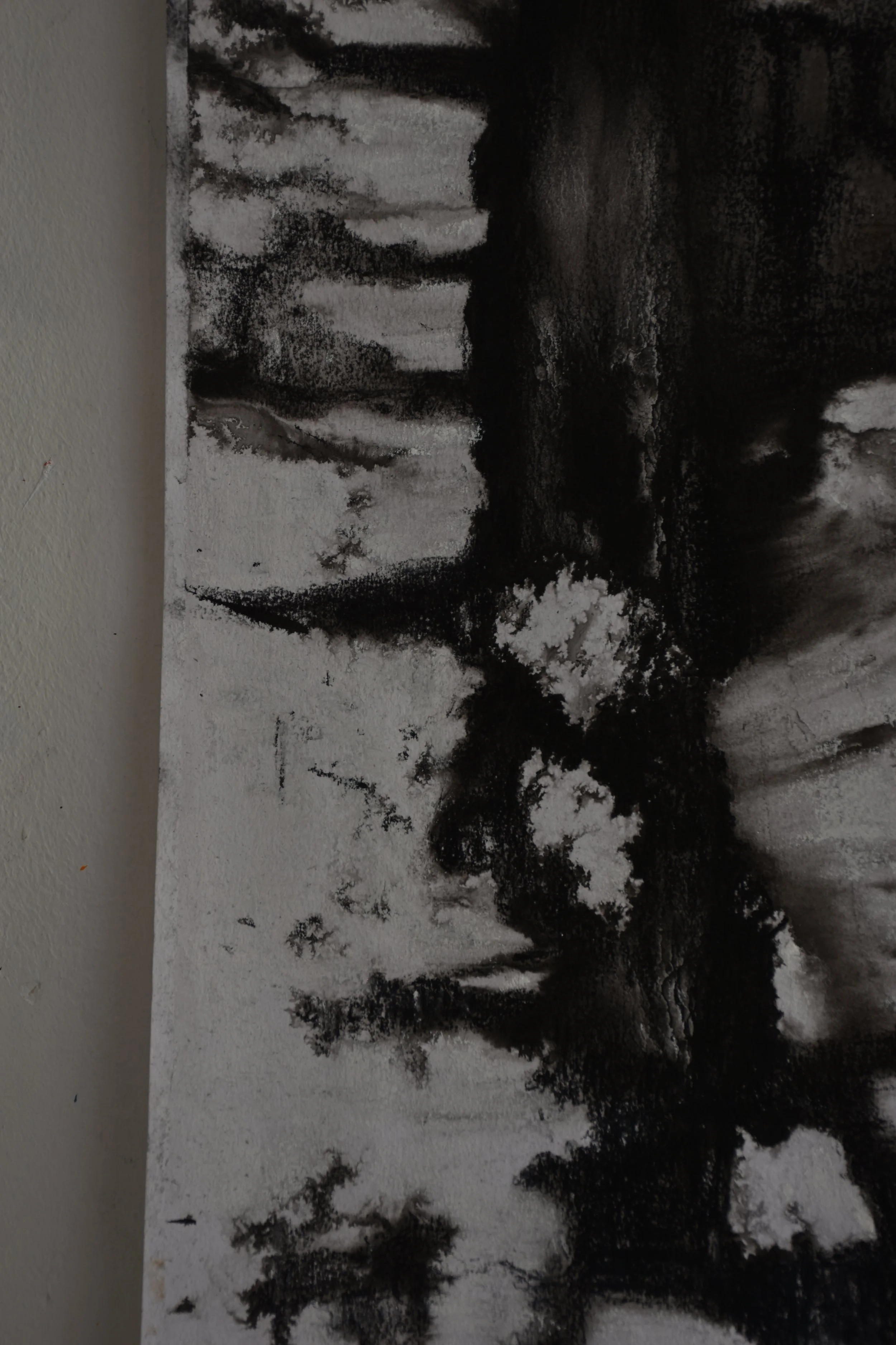 détail-1- Synesthésie V.JPG