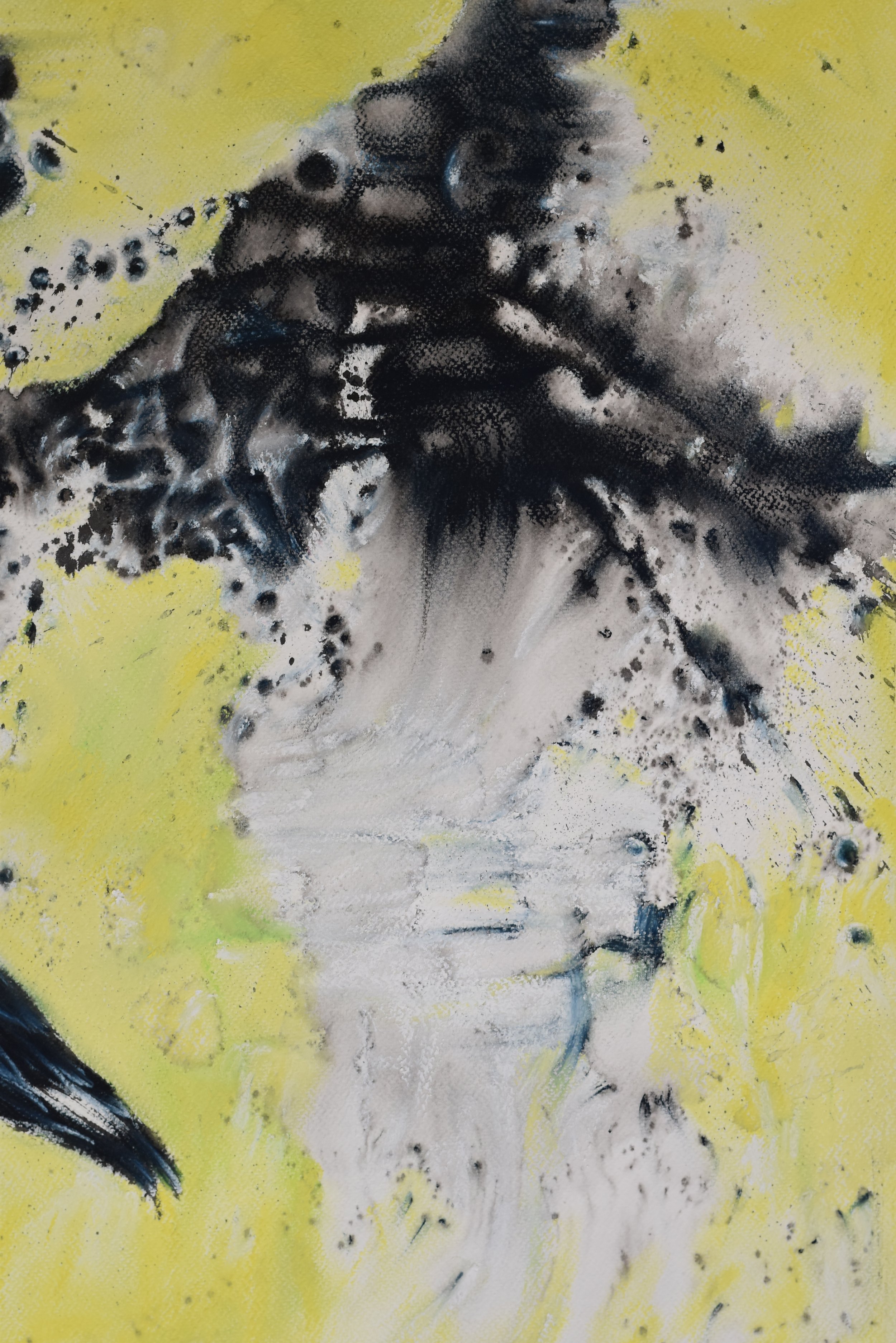 détail-1-Synesthésie IX.JPG