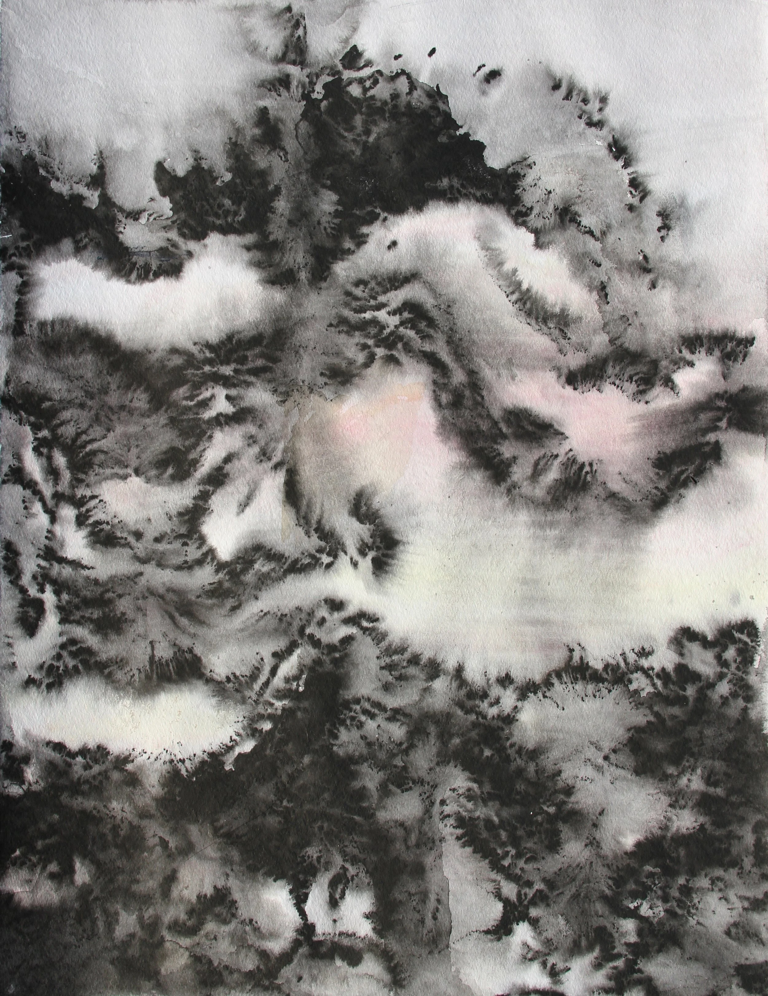  Echo II-65x50-encre.jpg