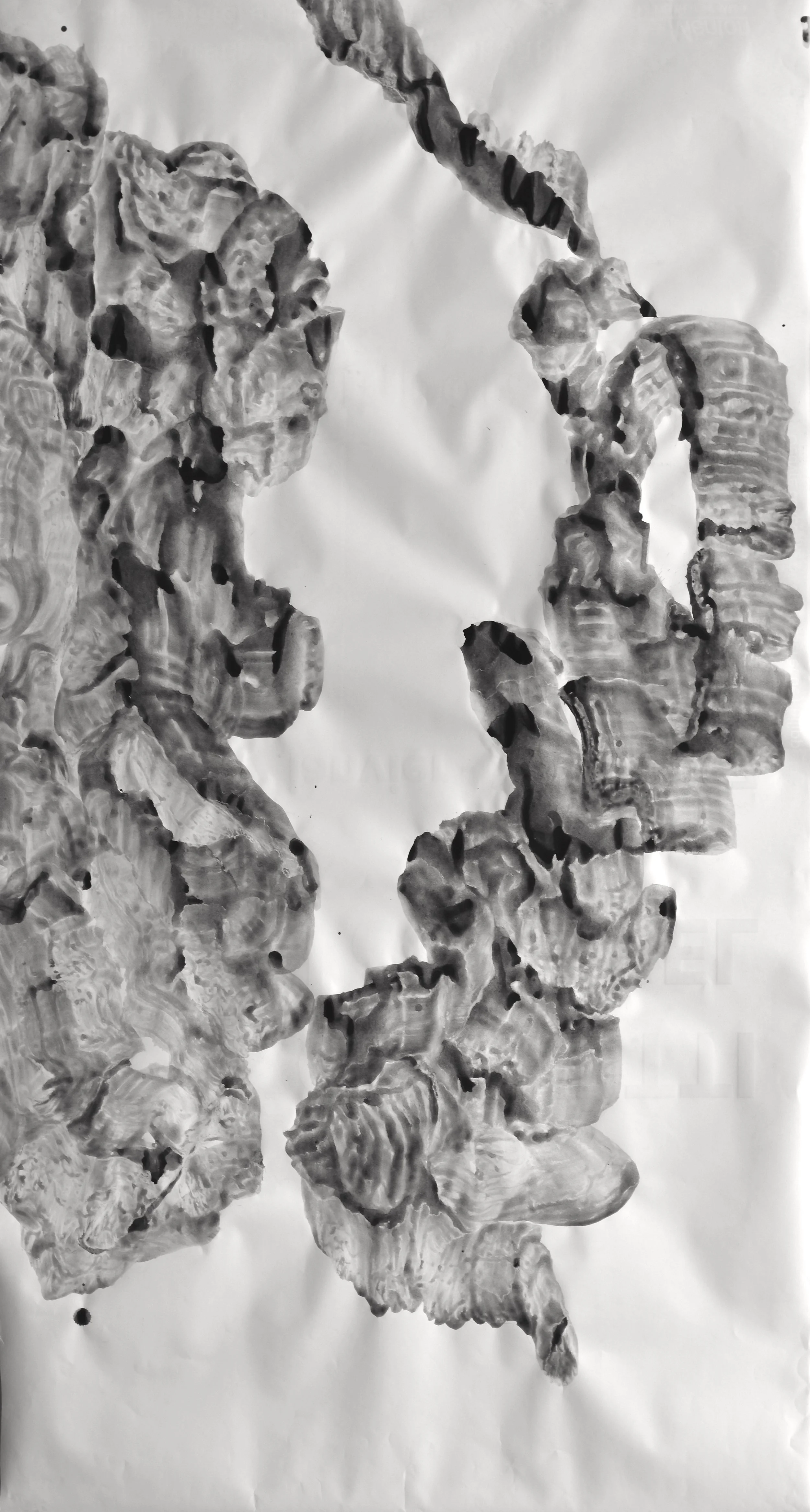 XVII- 10_05_2025_0084.JPG