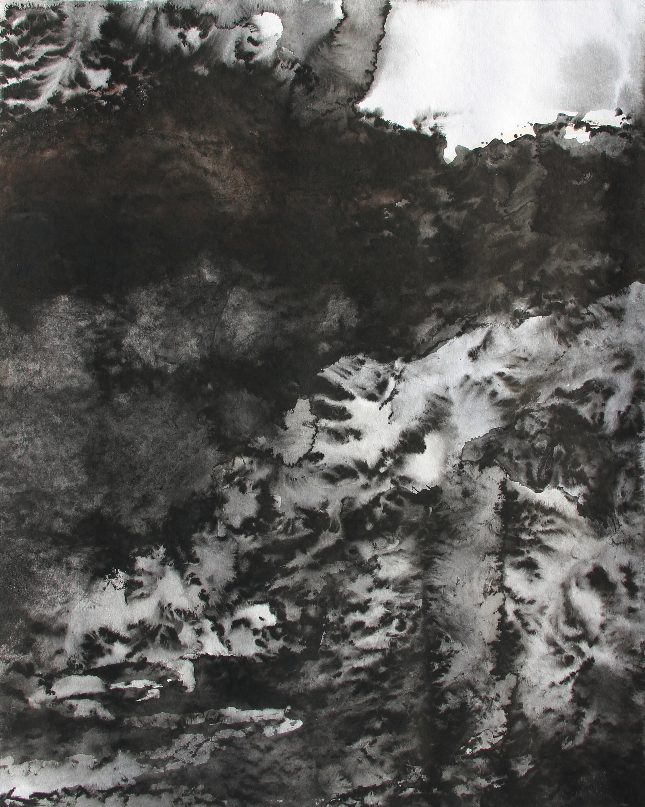  Echo I-65x50-encre-Vendu.jpg