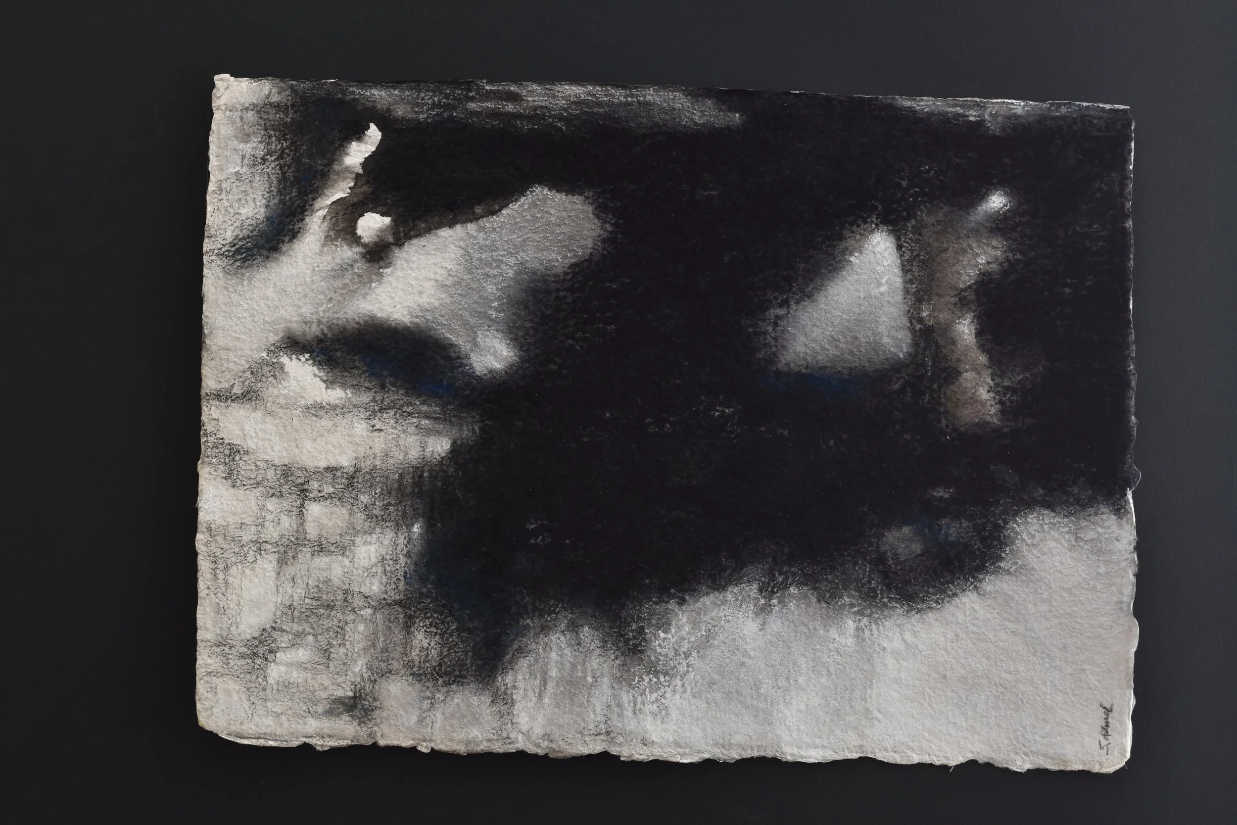 impact V-29_01_2024.jpeg