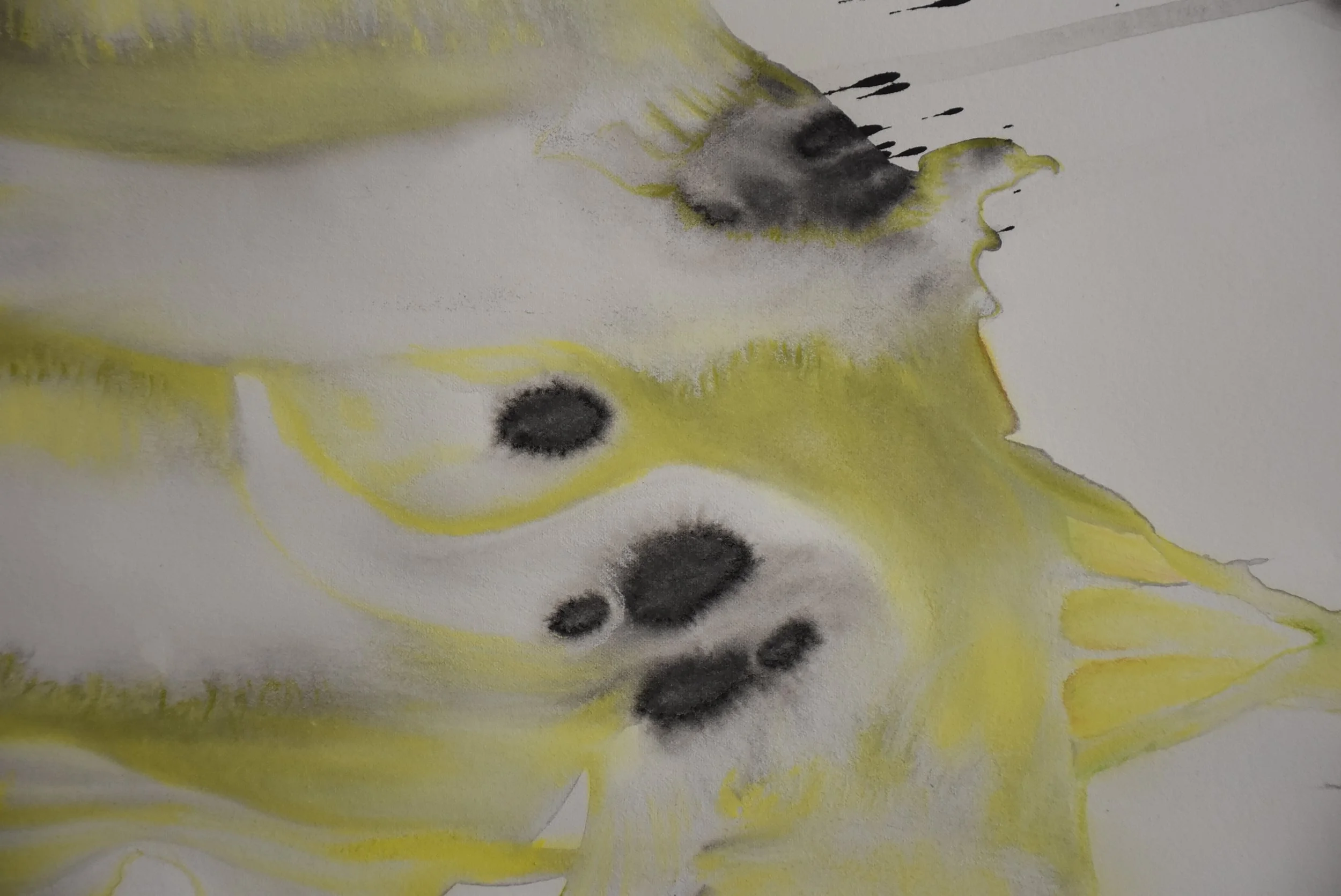 Synesthésie I. Encre et fusain sur papier canson. Série: Synesthésie.