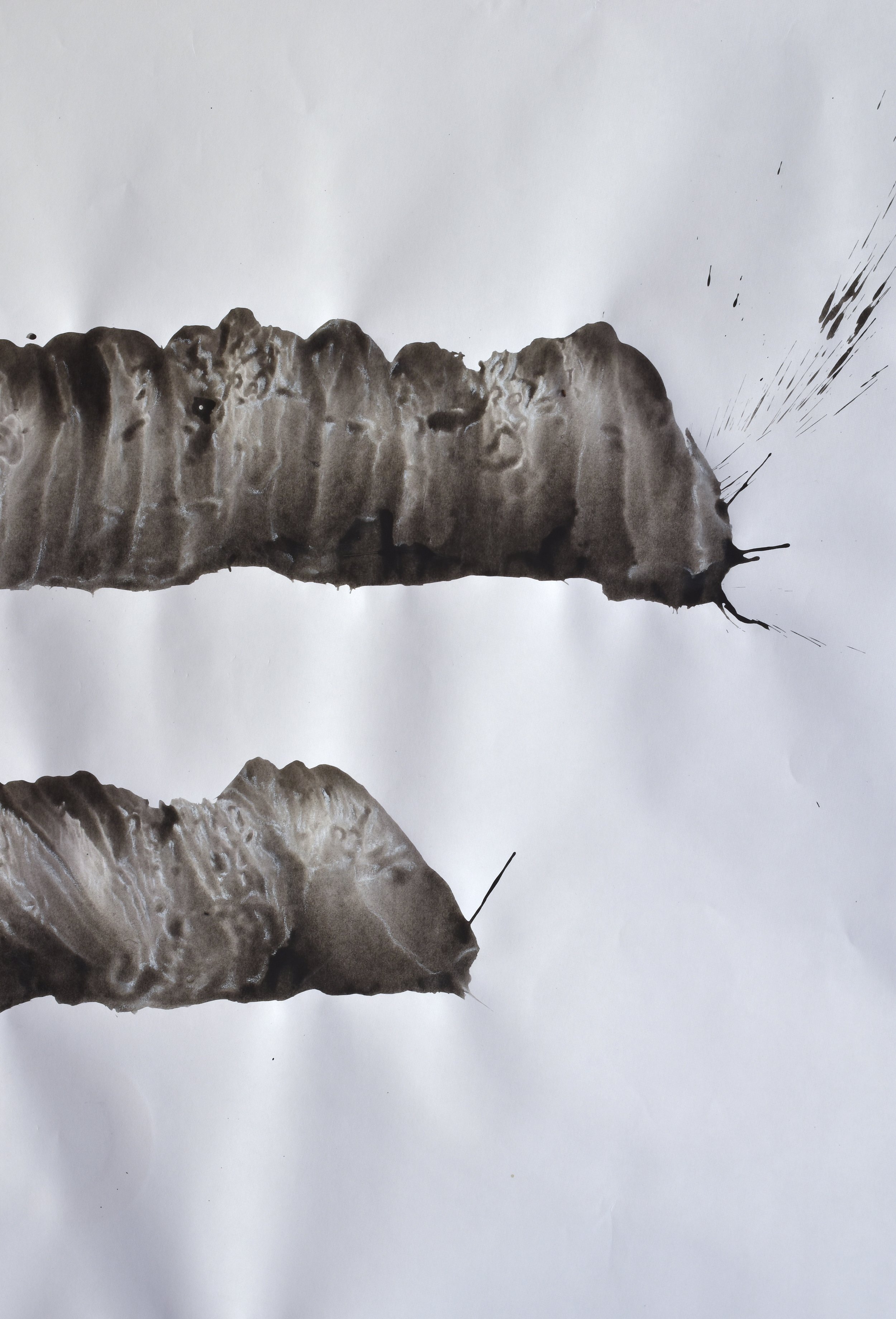 XIX, encre et pastel, 150x90cm détail.jpeg