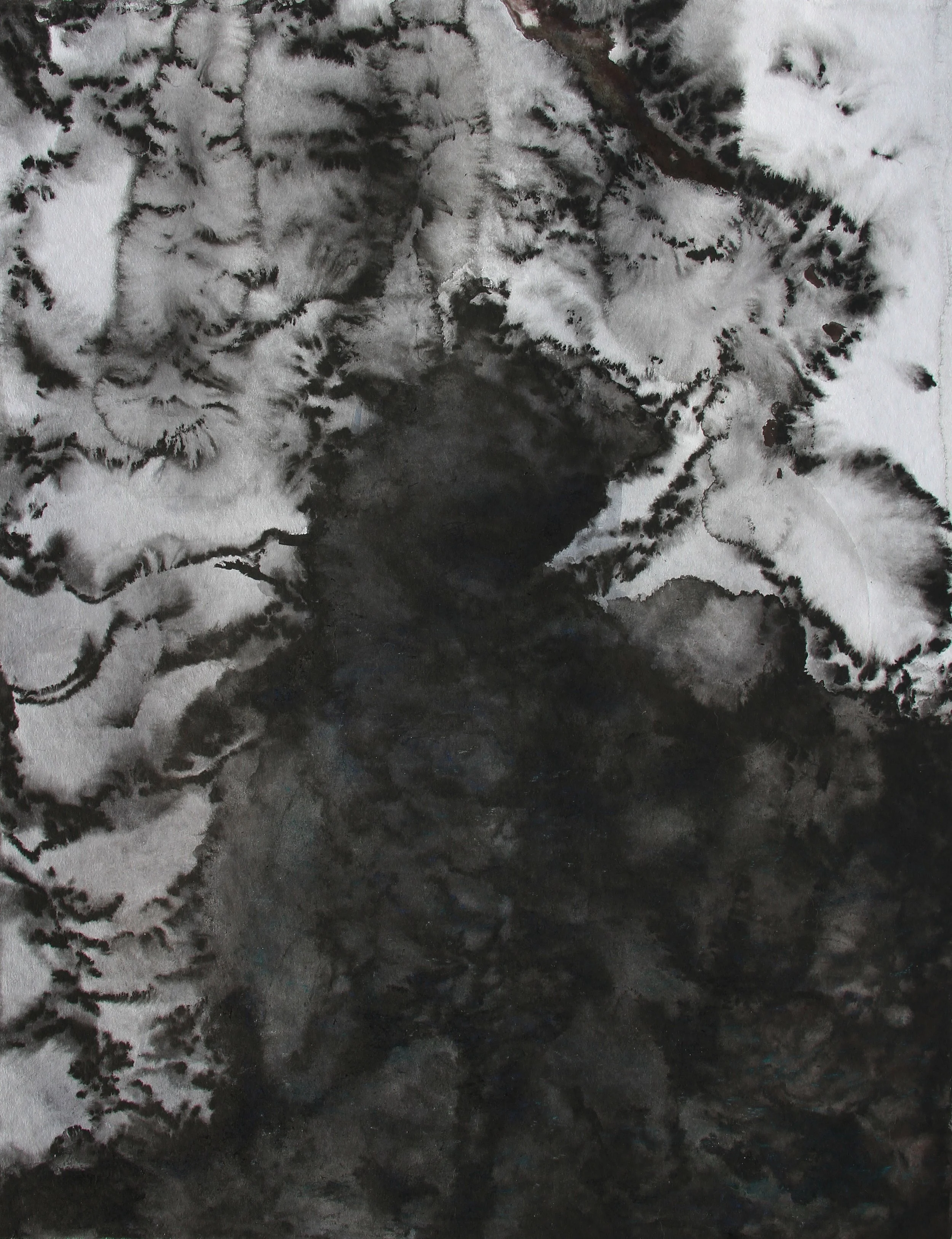  Echo III-65x50-encre.jpg