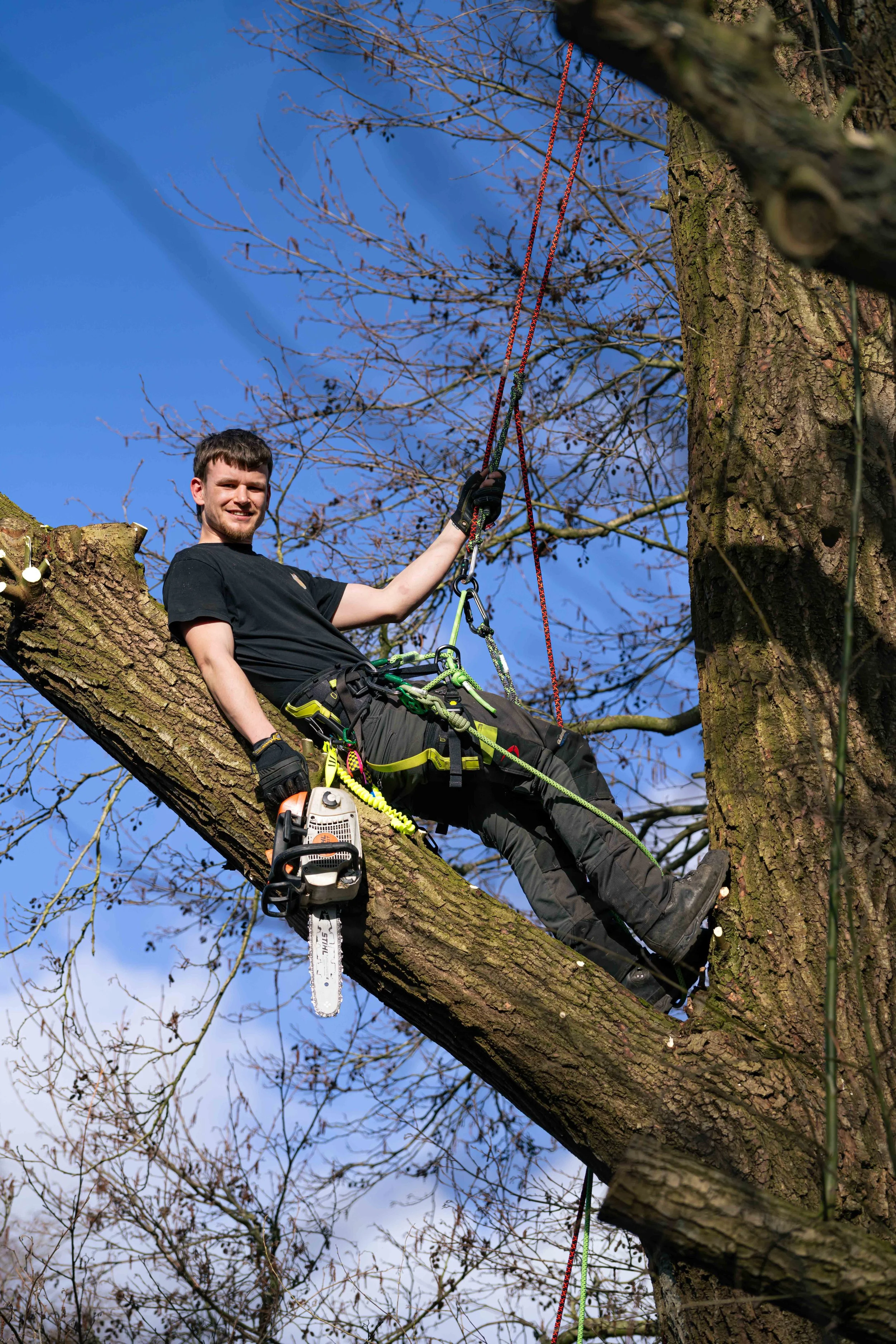 Man die in een boom zit met klimharnas en gereedschap, terwijl hij een tak vasthoudt, tegen een heldere blauwe hemel.