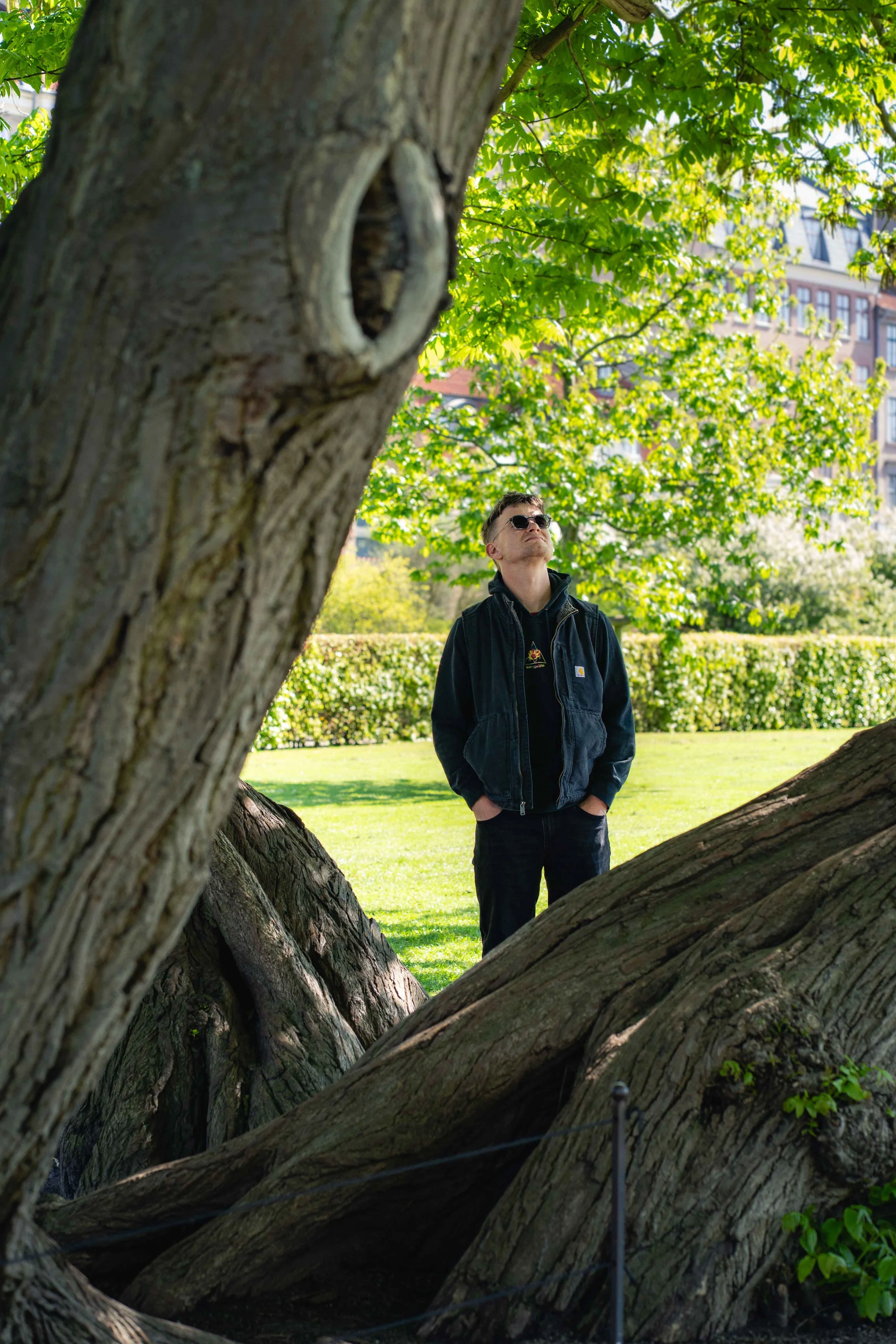 een man met donkere kleding en zonnebril staat onder een grote boom in een park, kijkt omhoog naar de bladeren
