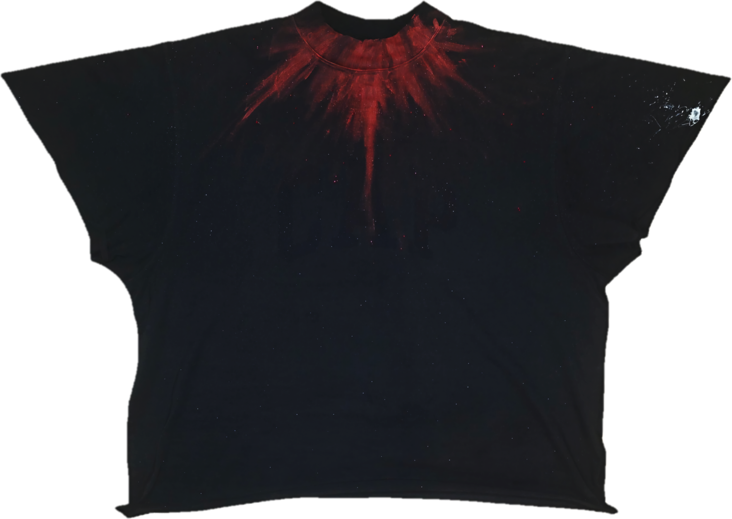 processed_1000027306.png