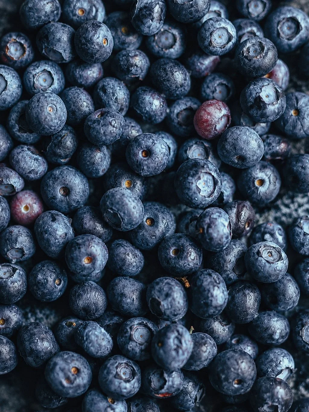 blueberry_01.jpg