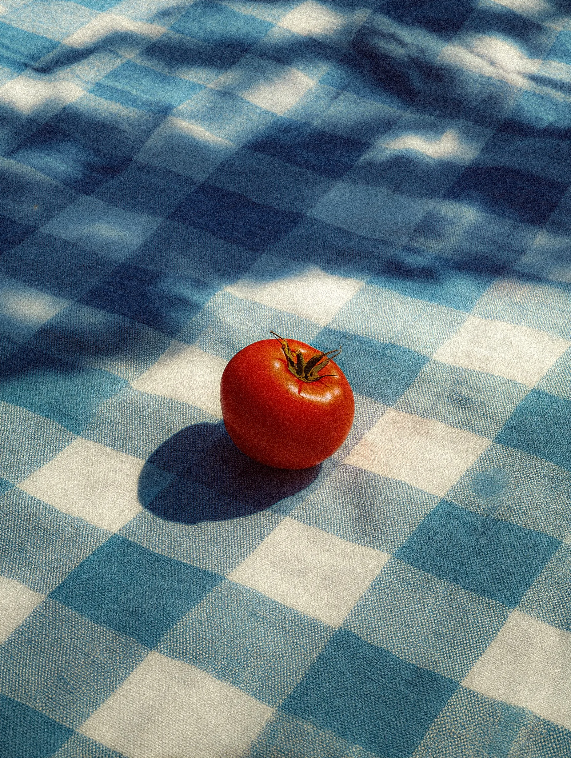 Tomato 2.jpg