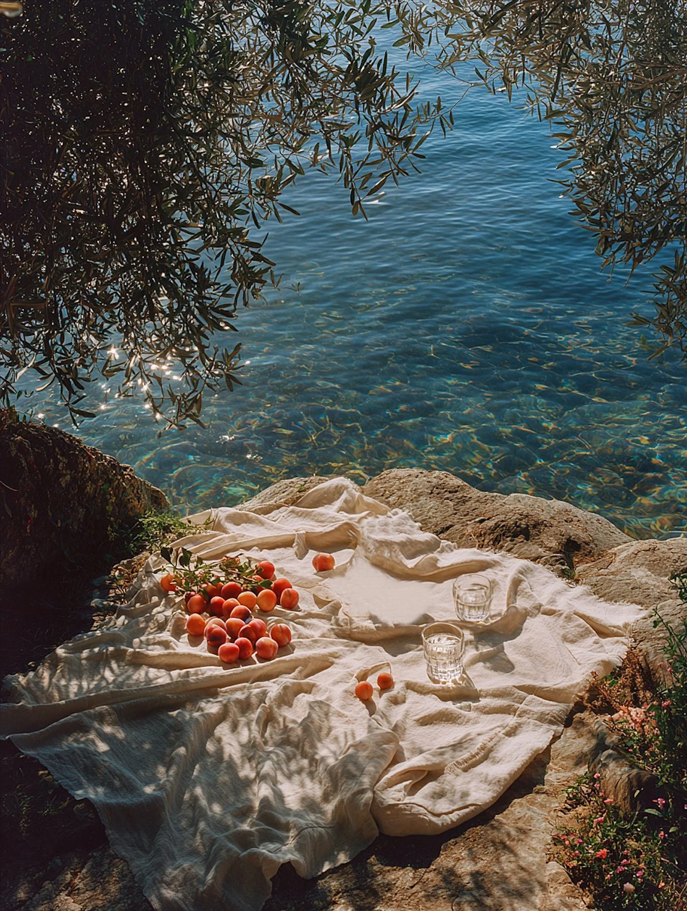 A picnic setup on a white cloth by a rocky shoreline with peaches and two glasses of water, shaded by overhanging branches over clear blue water.