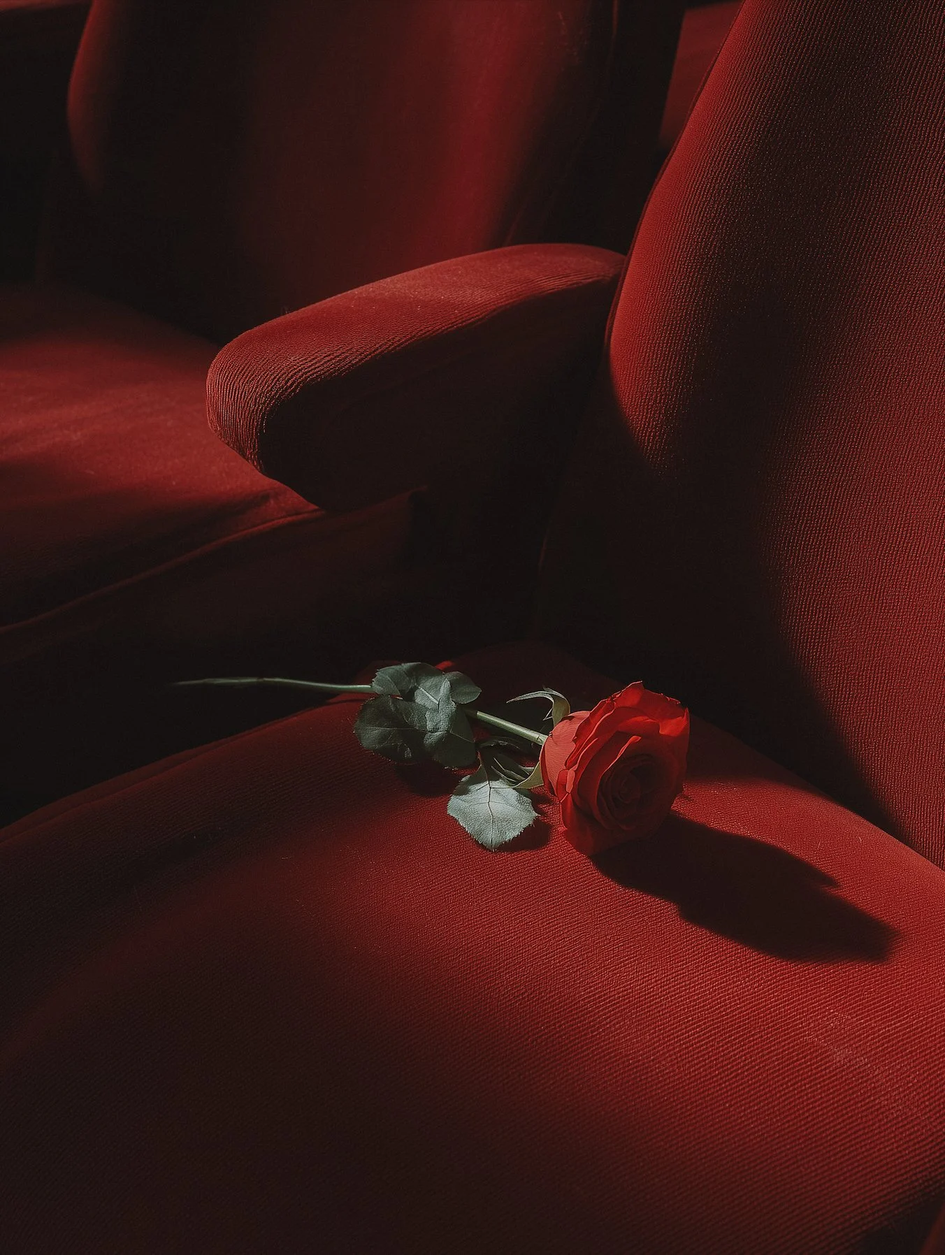 A red rose resting on a dark red upholstered chair, with soft lighting creating shadows.