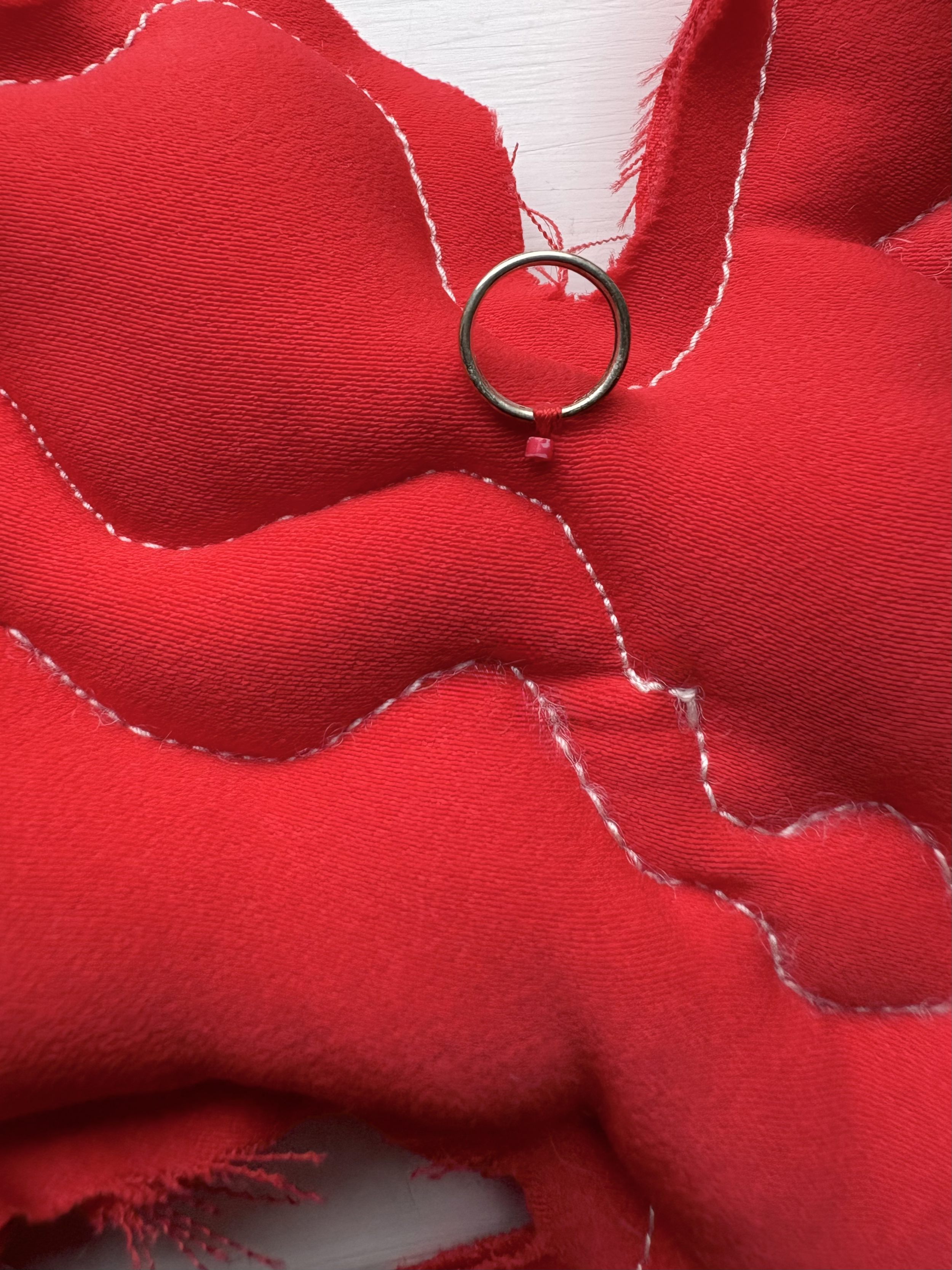 Artwork Snake Run no.1 Ring for hanging.png