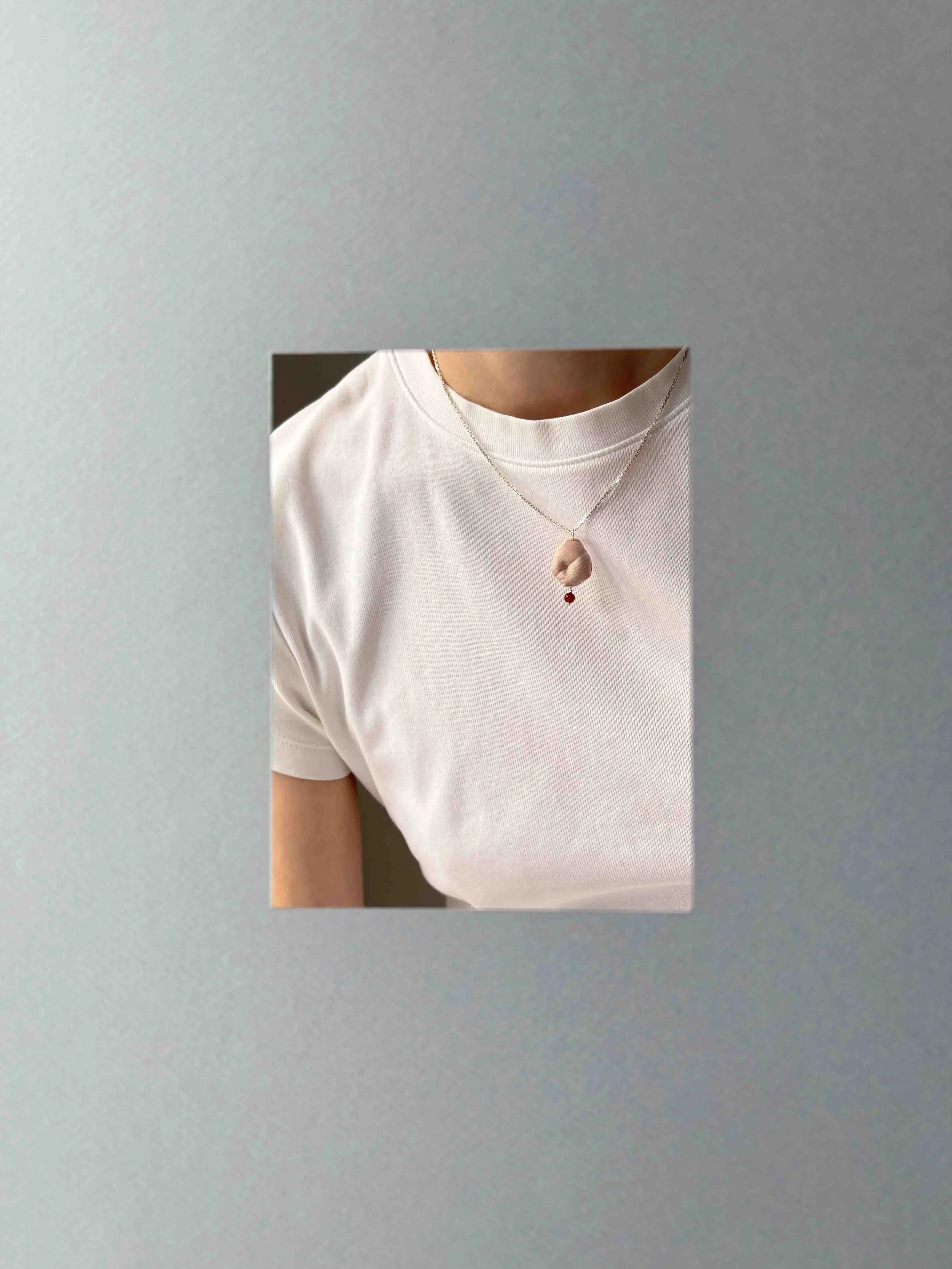 PBL06 on body.jpg