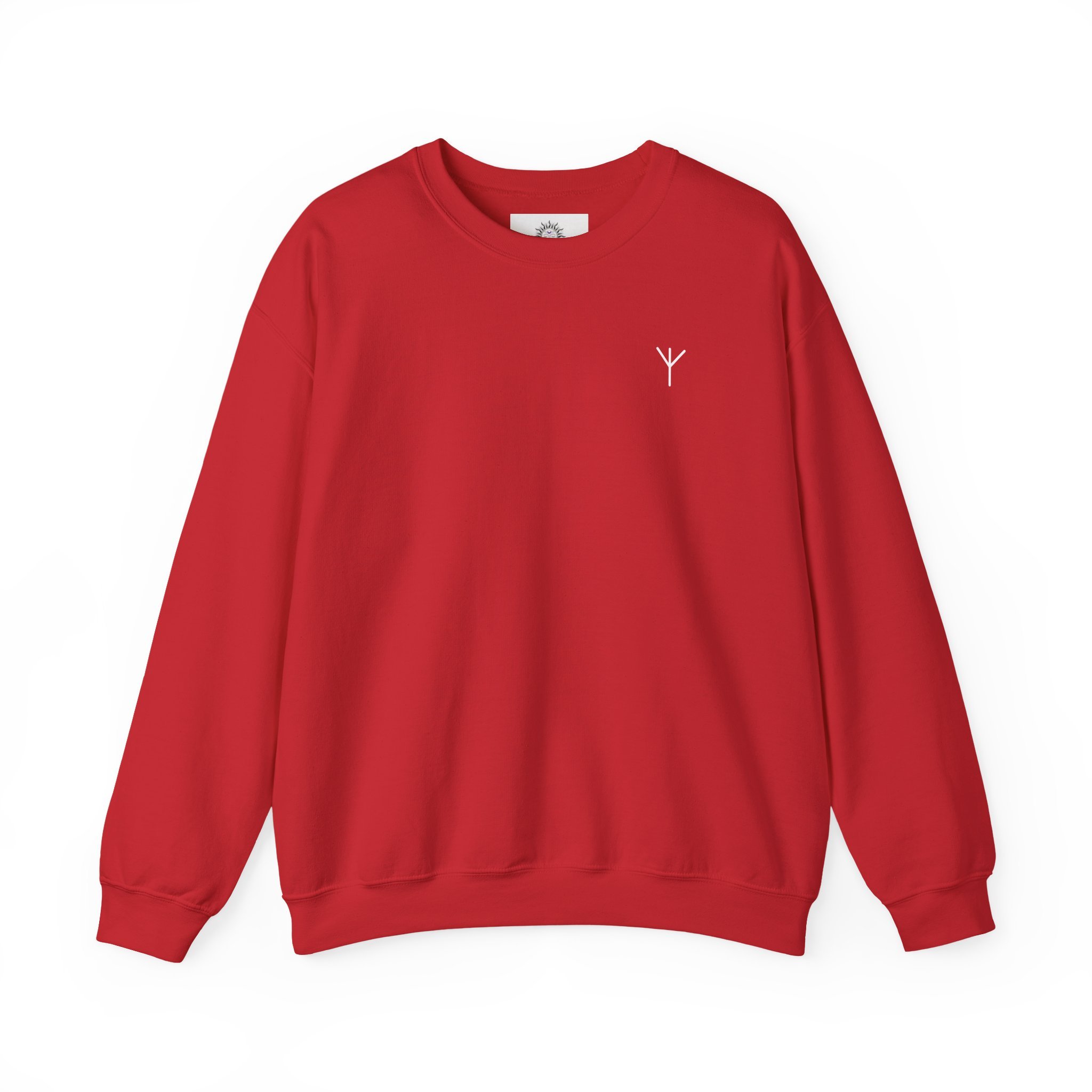 Algiz Sweatshirt (mit Anleitung)