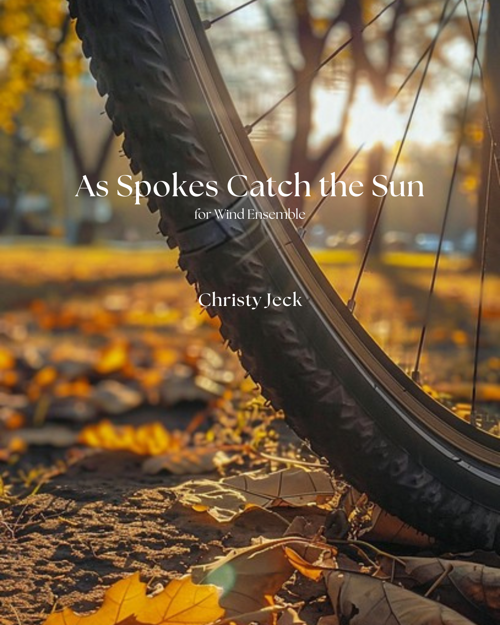 As Spokes Catch the Sun