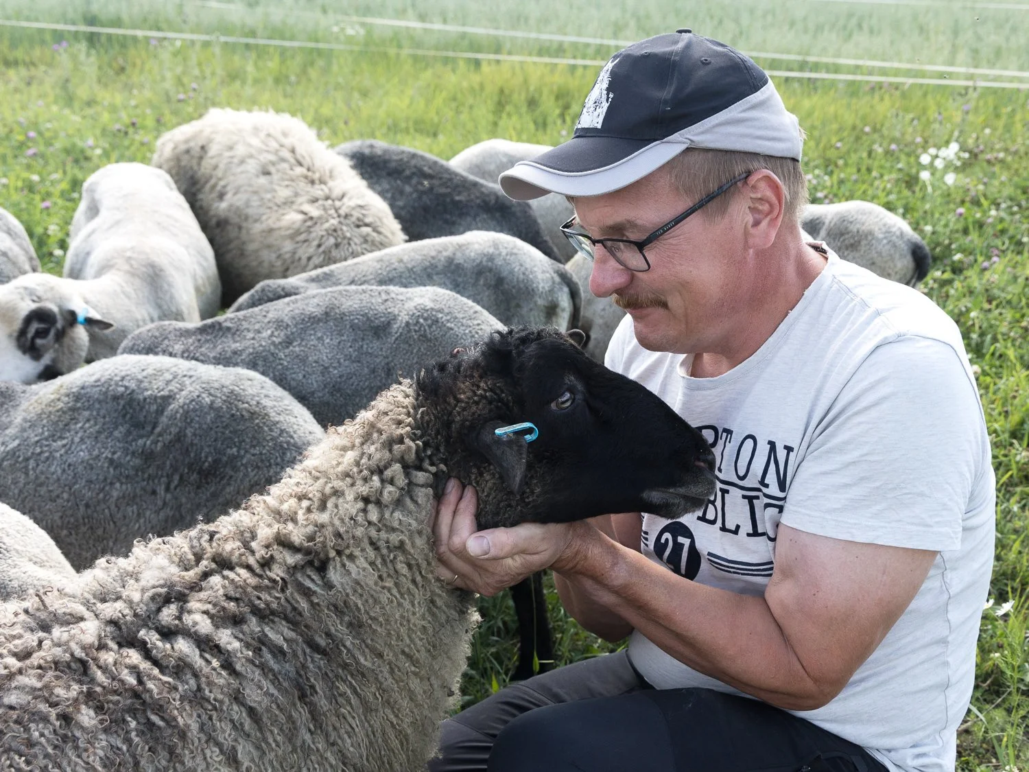 Sheep farmer Matti Avelin with his lambs