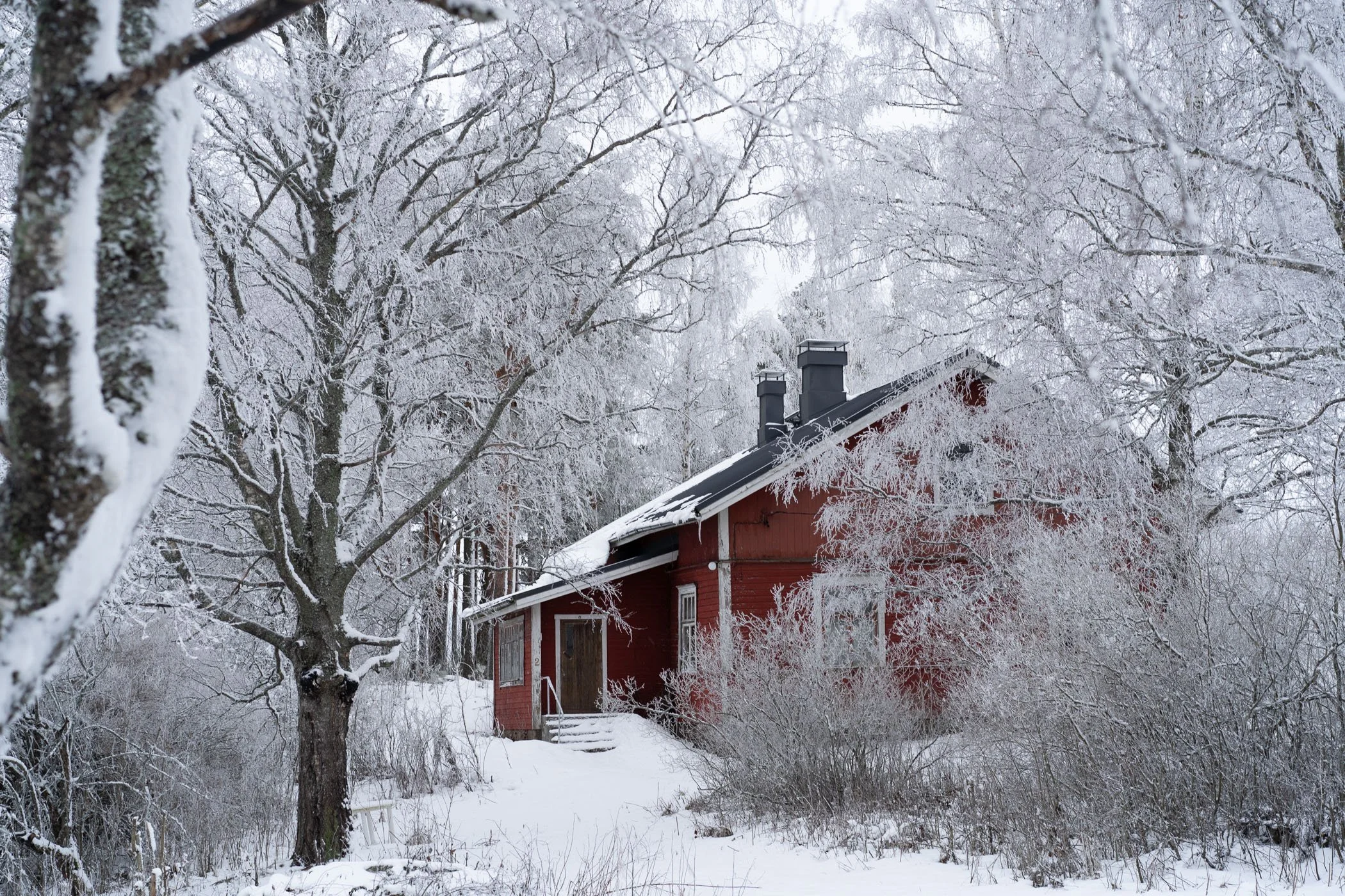 portfoliokatselmus pikkukuvat_DSC9416.JPG