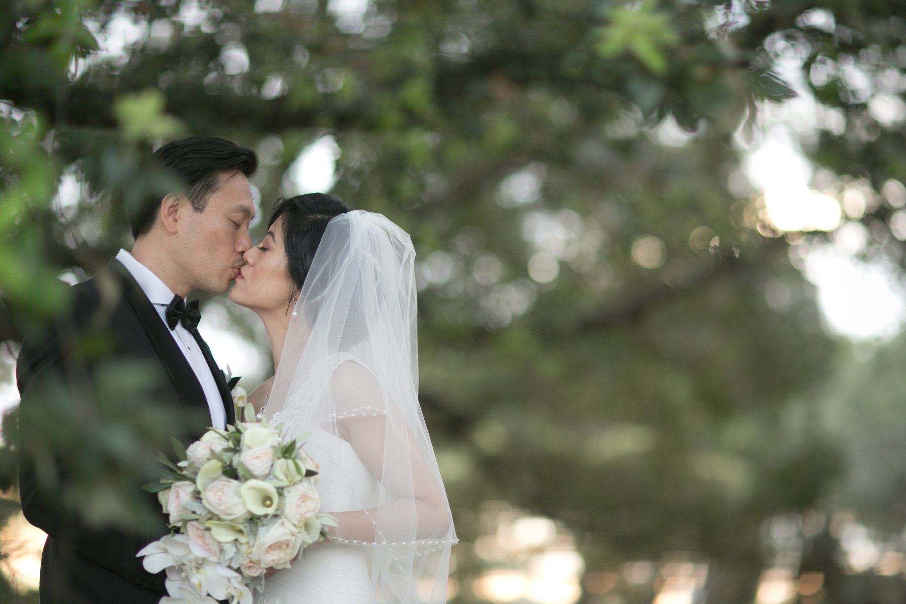 Bride and groom kissing in pine forest, Centennial Park Sydney