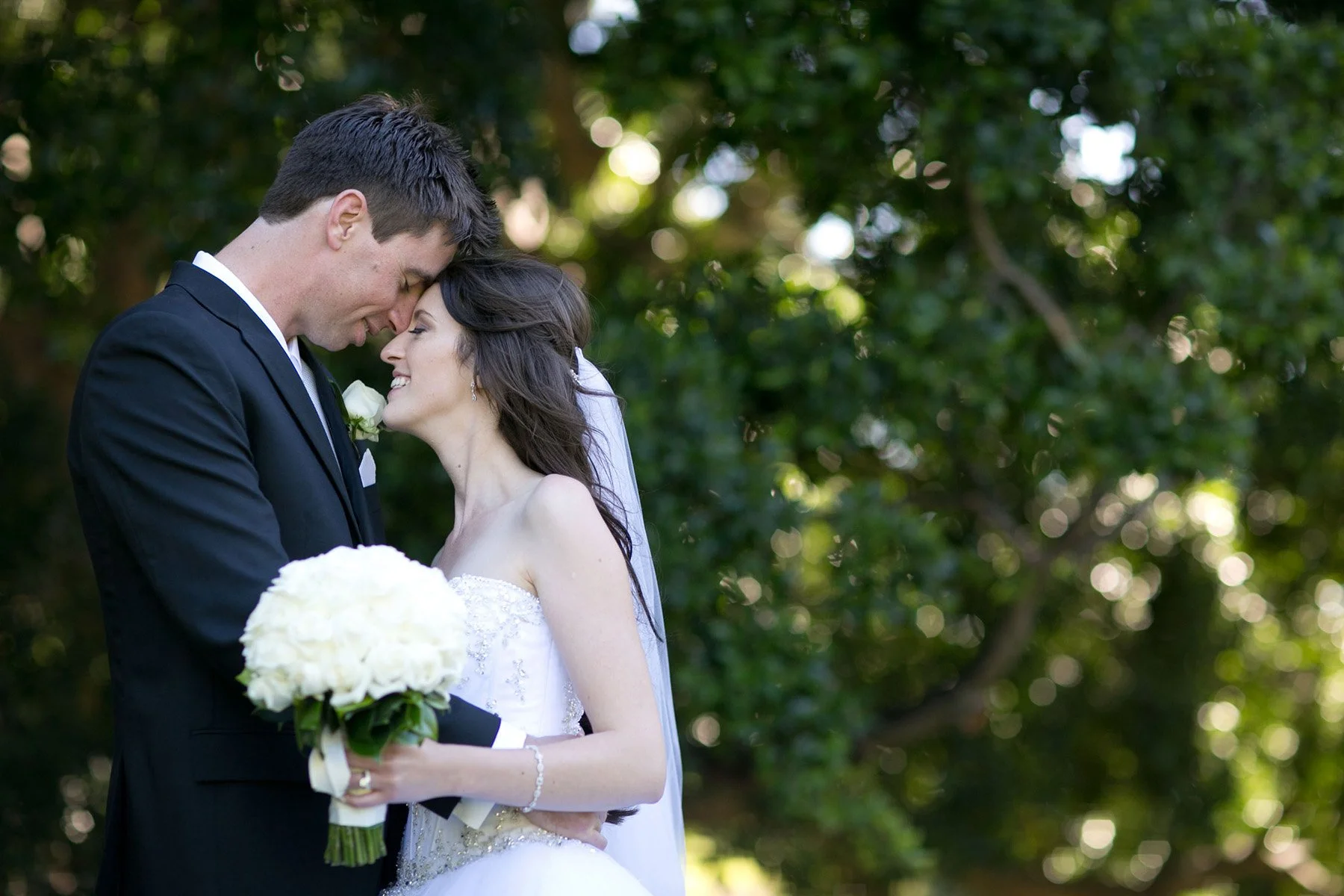 Intimate bridal couple portrait under trees, Wollstonecraft 