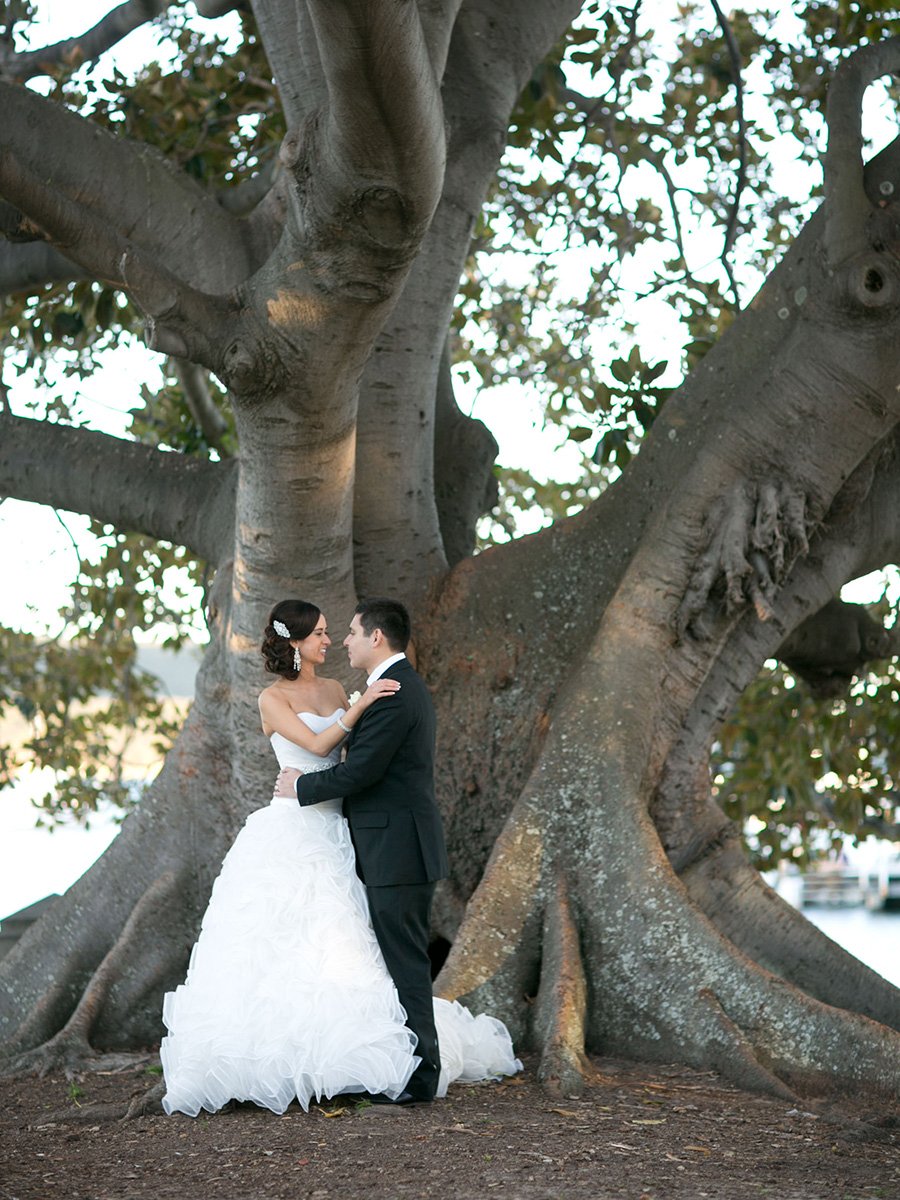 bridal portrait next to moreton bay fig tree balmoral beach mosman