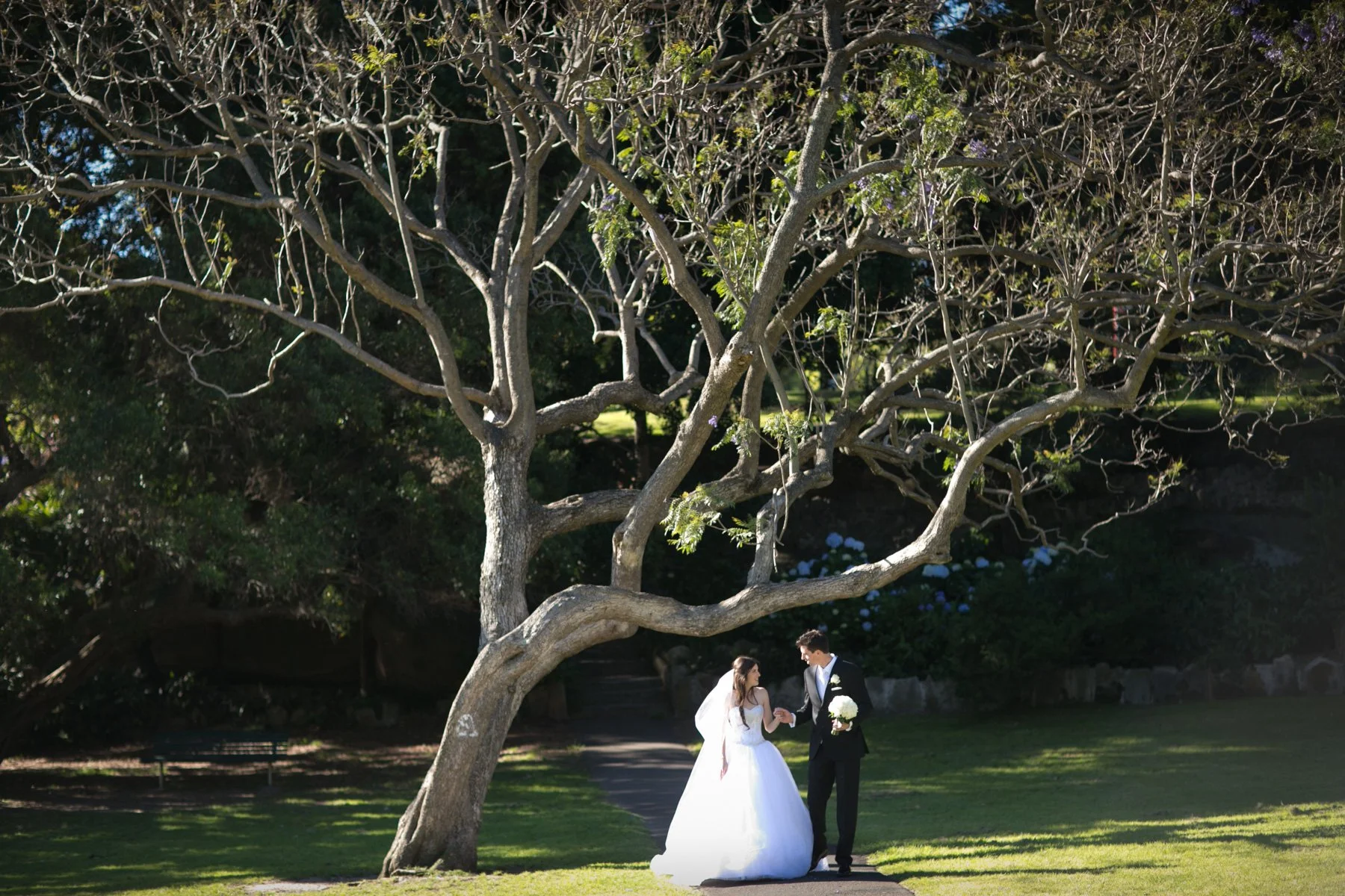 Bride and groom walking among trees, Wollstonecraft