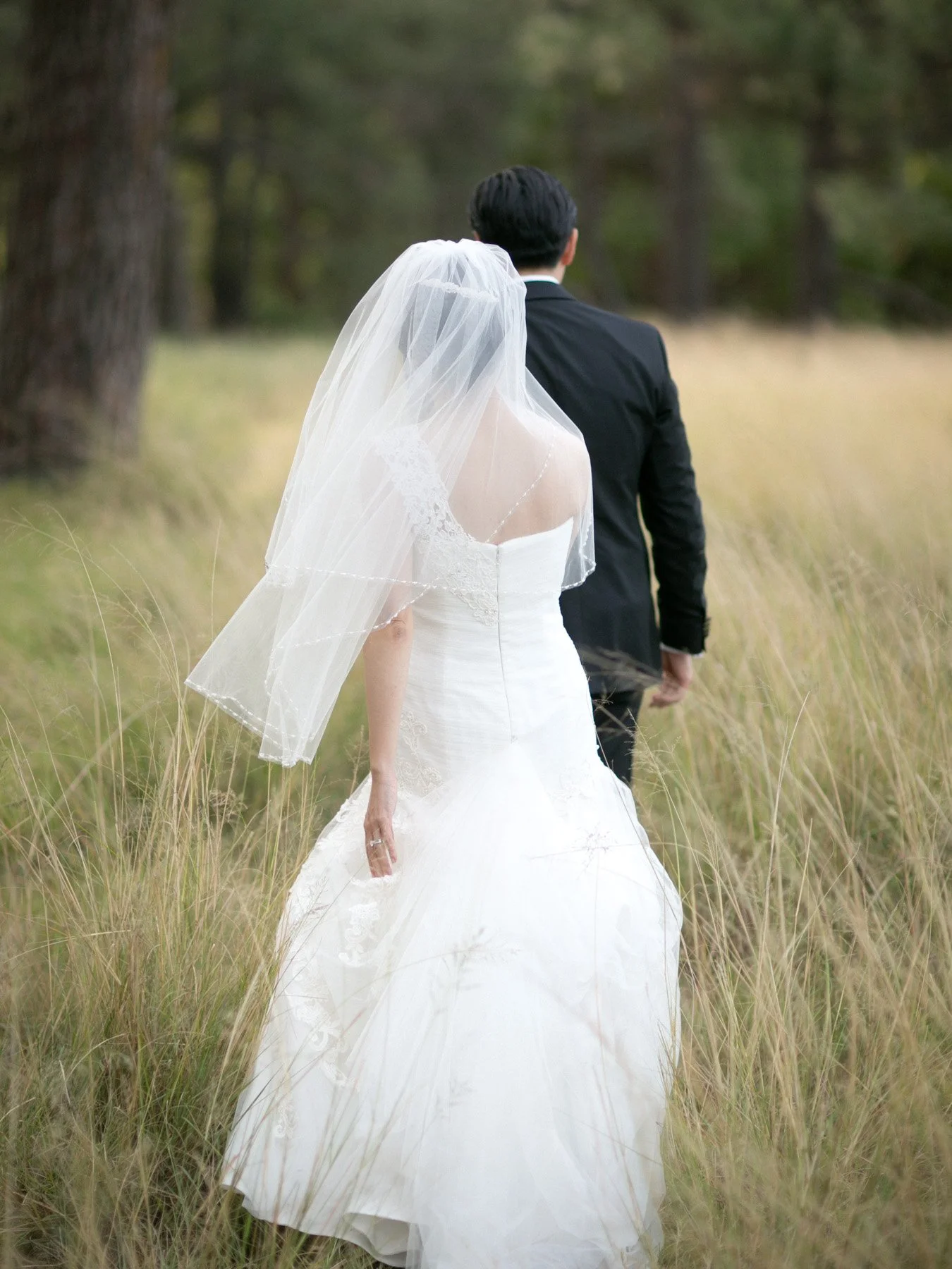 Bride and groom walking away through long grass, Centennial Park Sydney