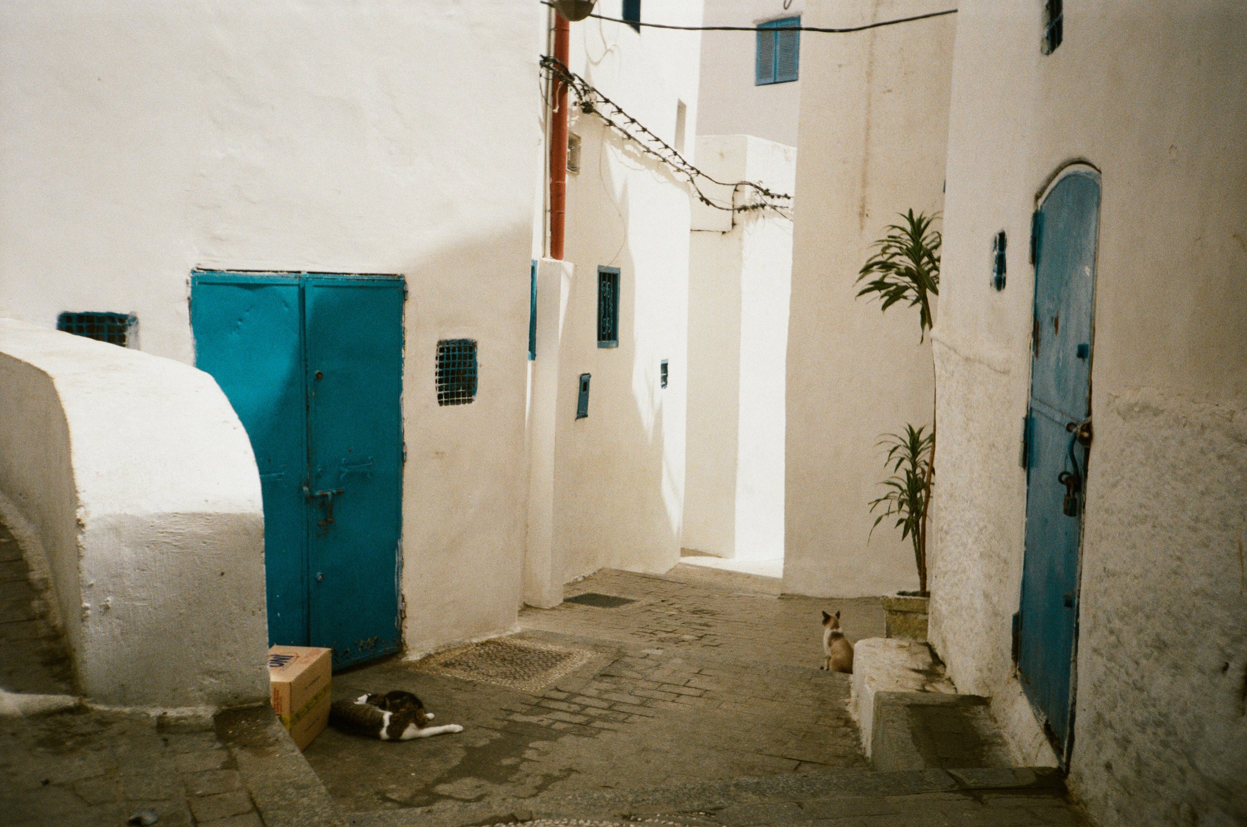 Lost in Tangier