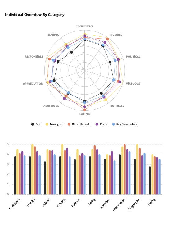 Paradoxical Mindsets 360™ leadership diagnostic overview showing behavioural patterns and leadership tendencies
