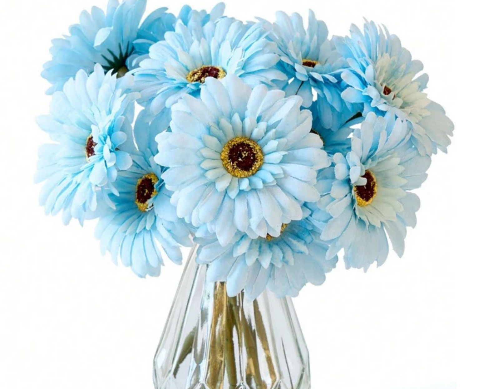 Blue Daisies