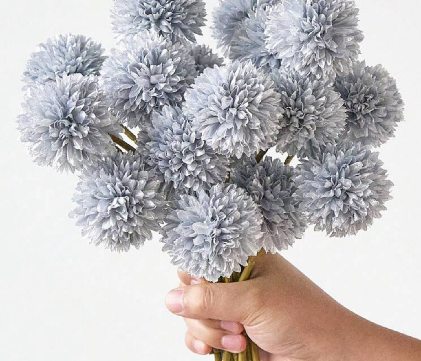 Silver Crysanthemum