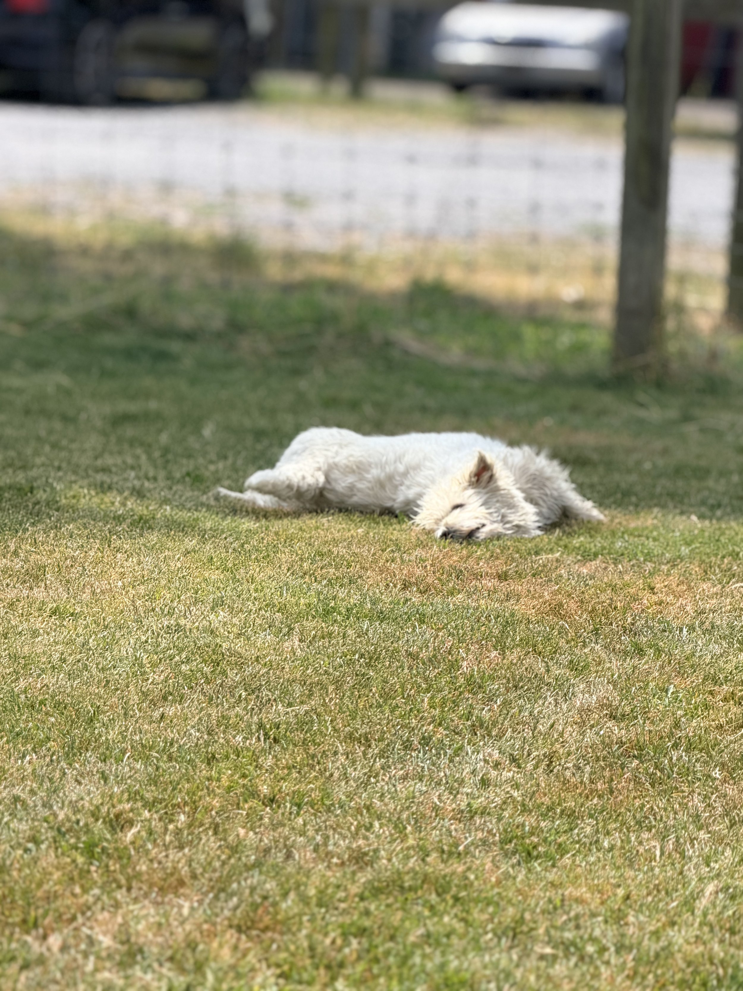 IMG_8778.jpeg