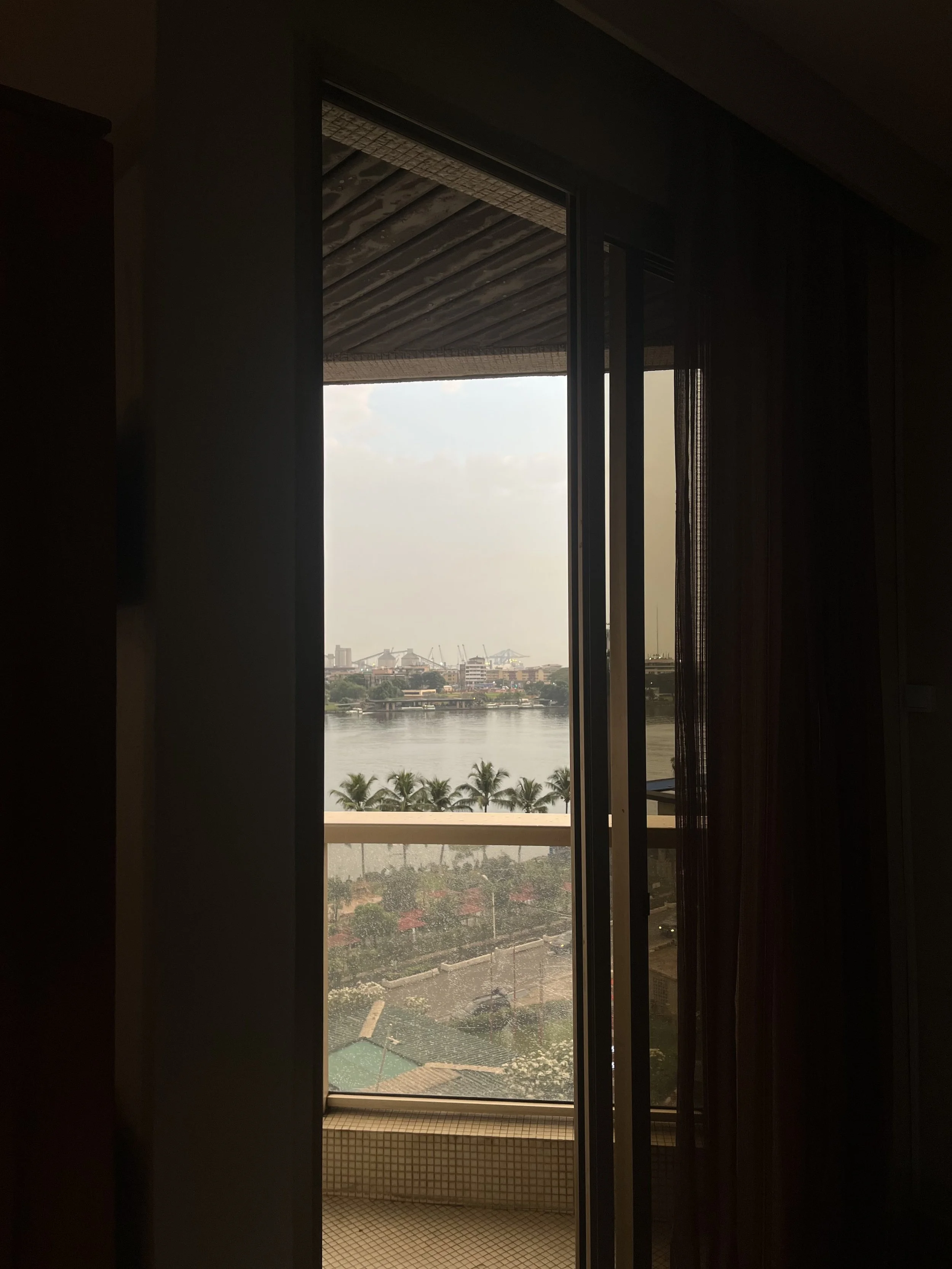 View through an open sliding glass door showing a river, palm trees, and a city skyline with cranes in the distance.