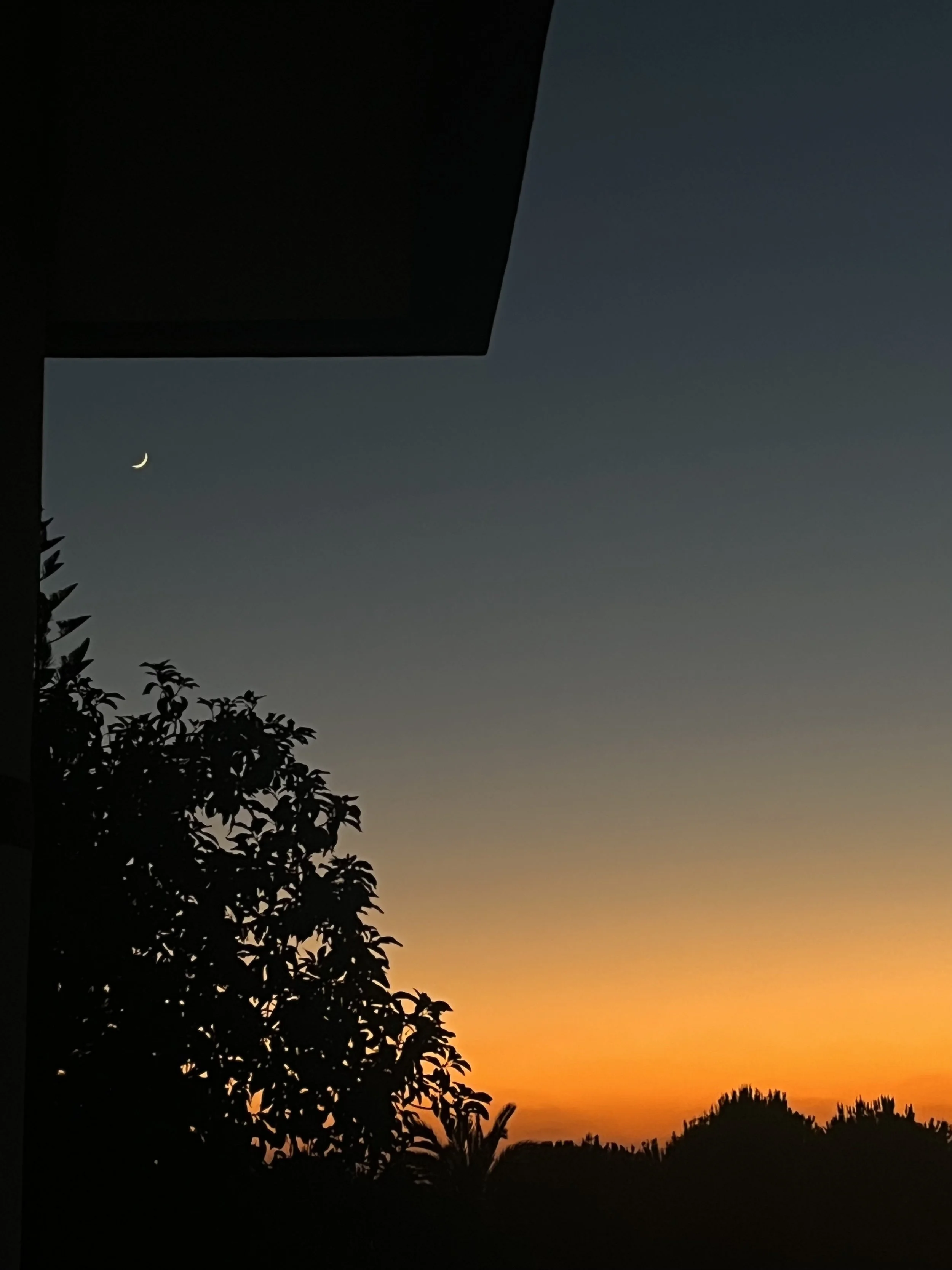 Silhouette of trees and a building against a sunset sky with a crescent moon visible in the upper left